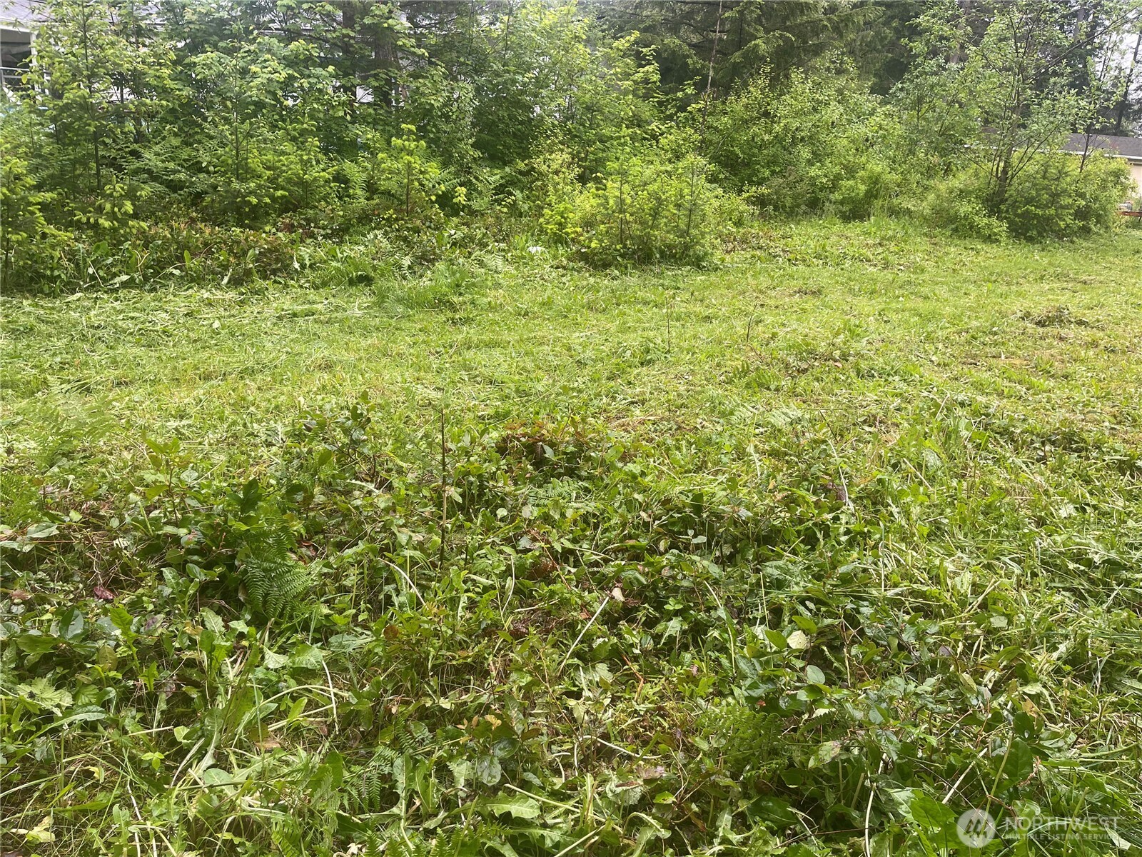 6159 Hawthorne Place Property Photo 2