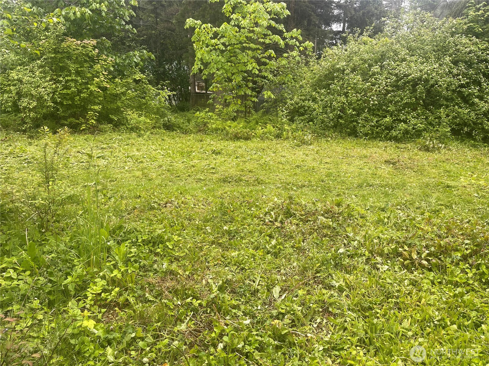 6159 Hawthorne Place Property Photo 3