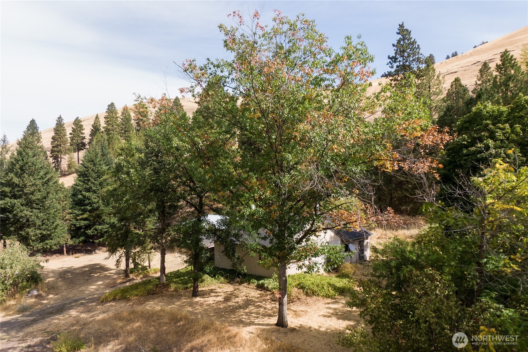 8117 Mill Creek Road Property Photo 6