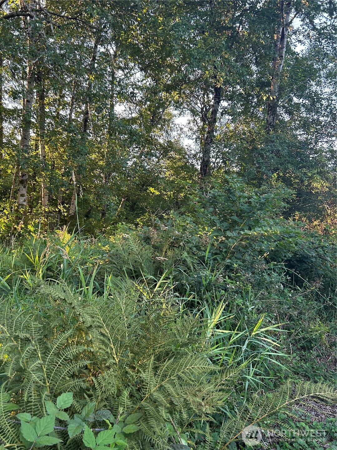 1403 State Rt 105 Property Photo 4
