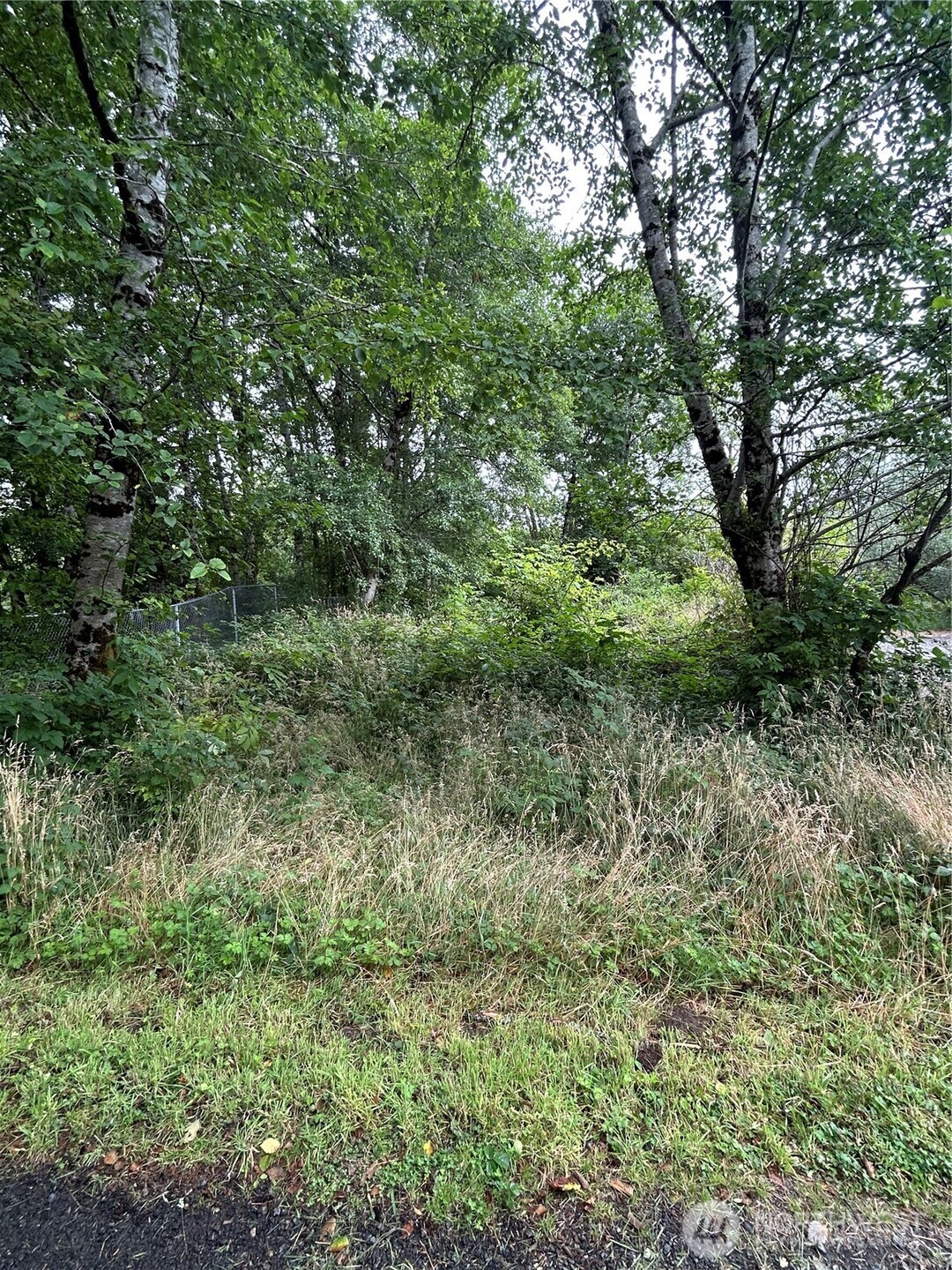 1403 State Rt 105 Property Photo 10