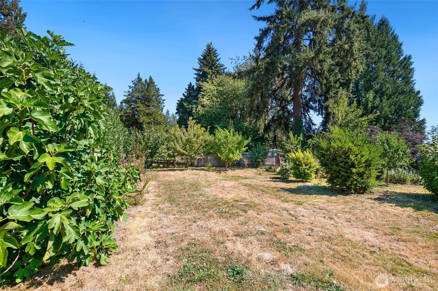3106 C Street Property Photo 33