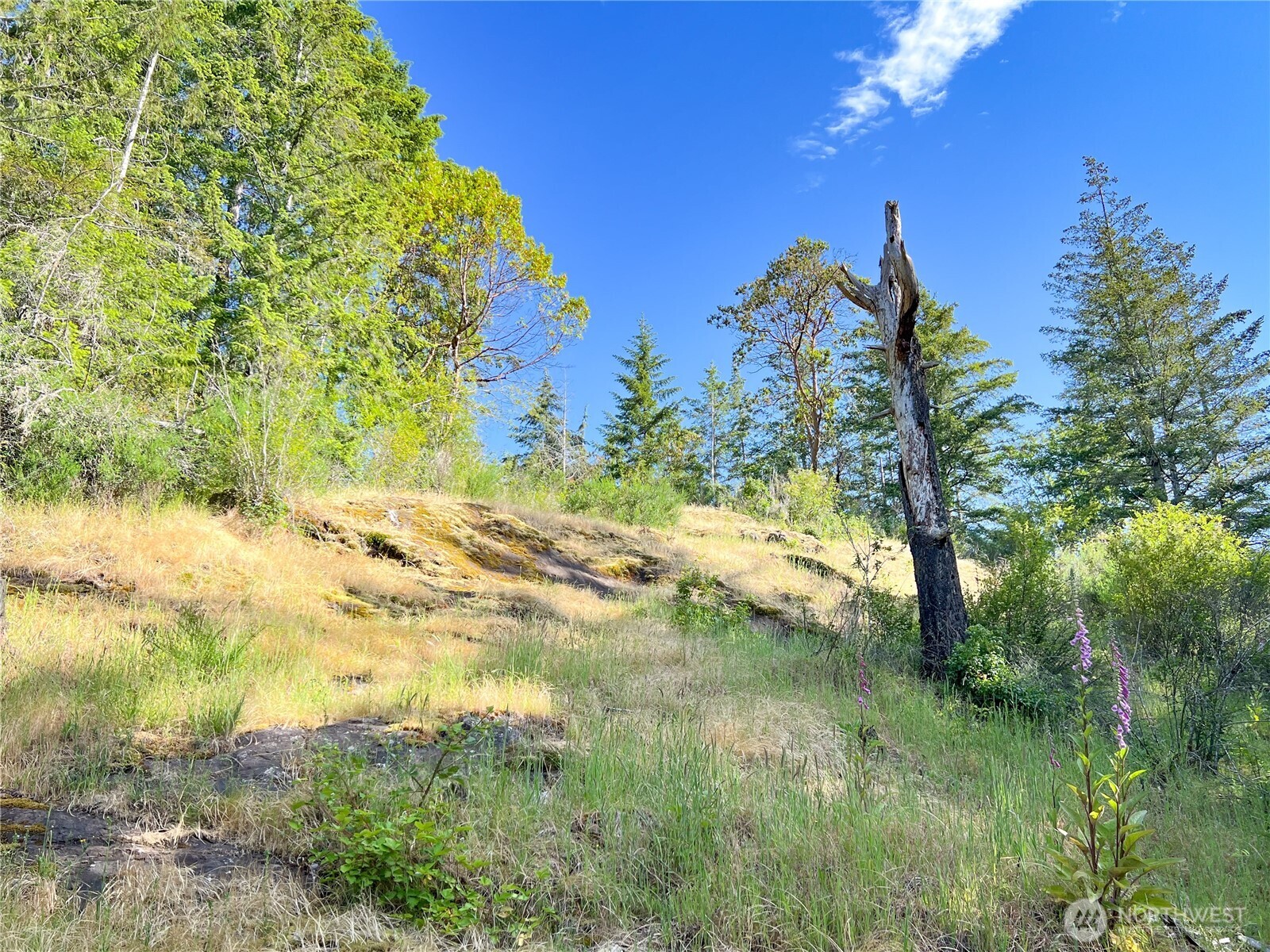 311130 Us Highway 101 Property Photo 1