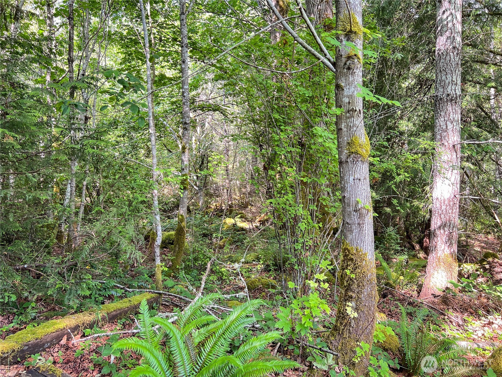 311130 Us Highway 101 Property Photo 9