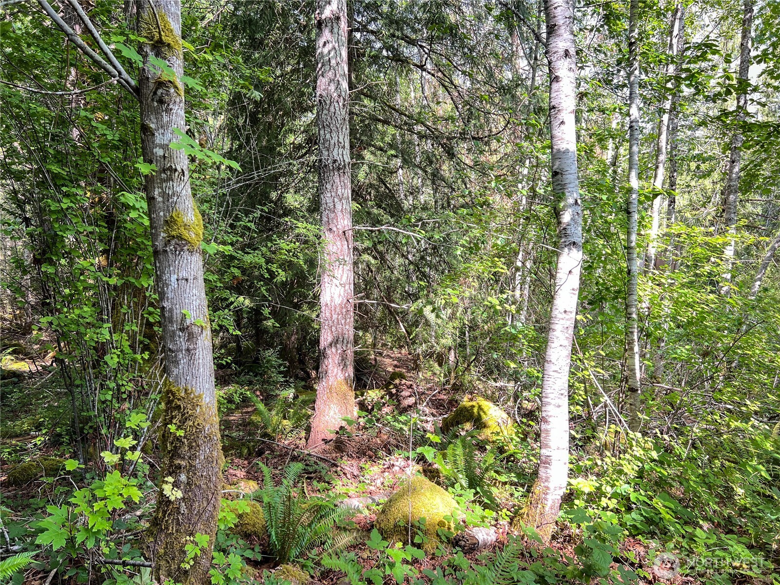 311130 Us Highway 101 Property Photo 10