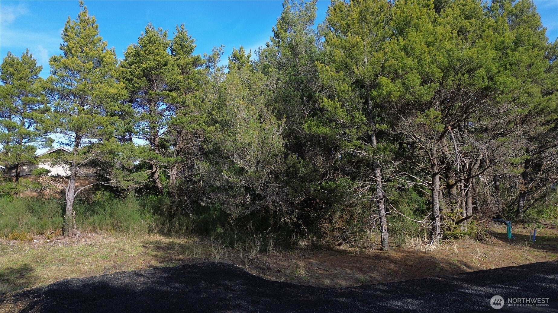 1240 Sunset Beach Lane Property Photo 3