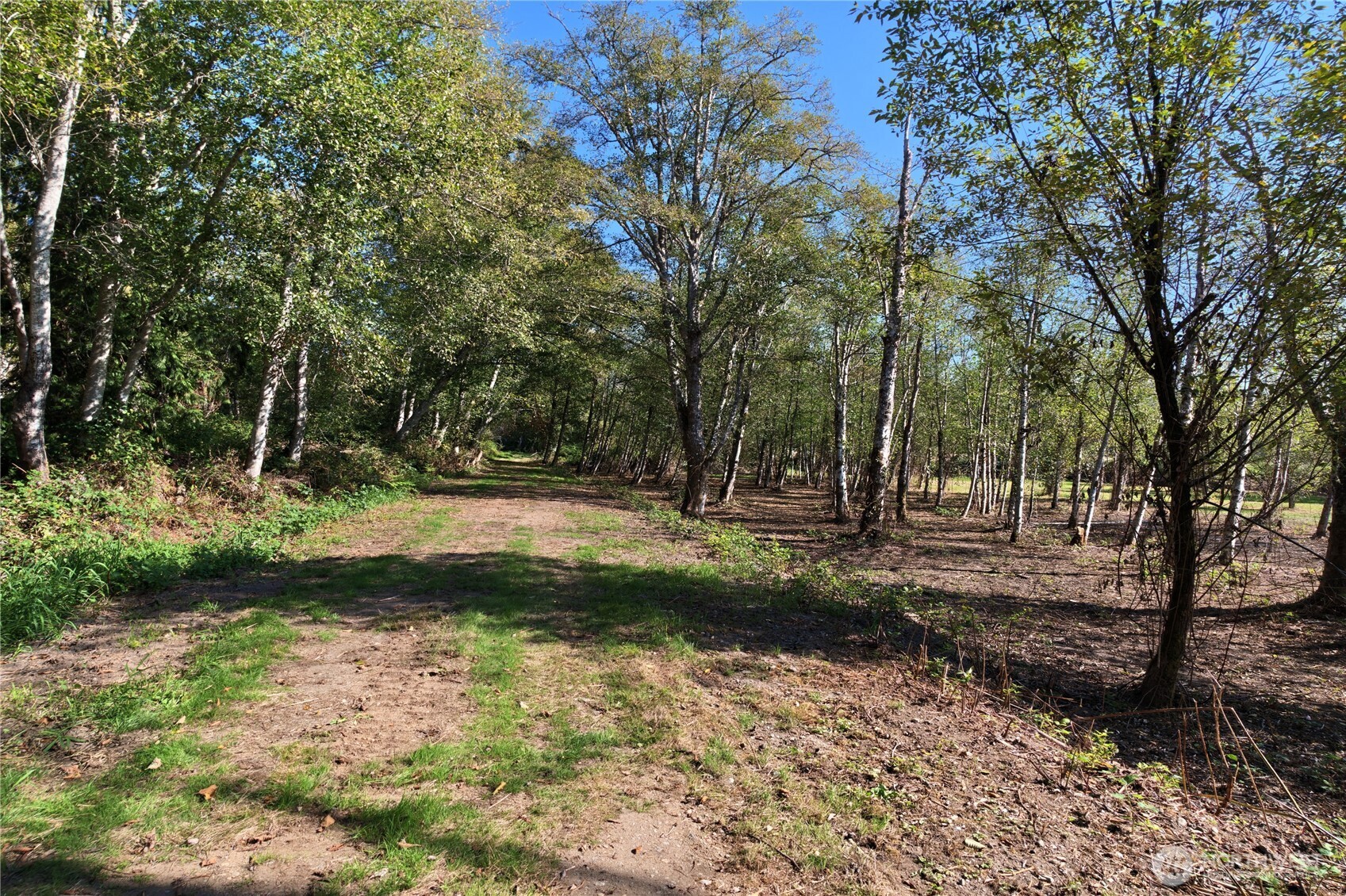 1877 Old Hwy 99 North Road Property Photo 33