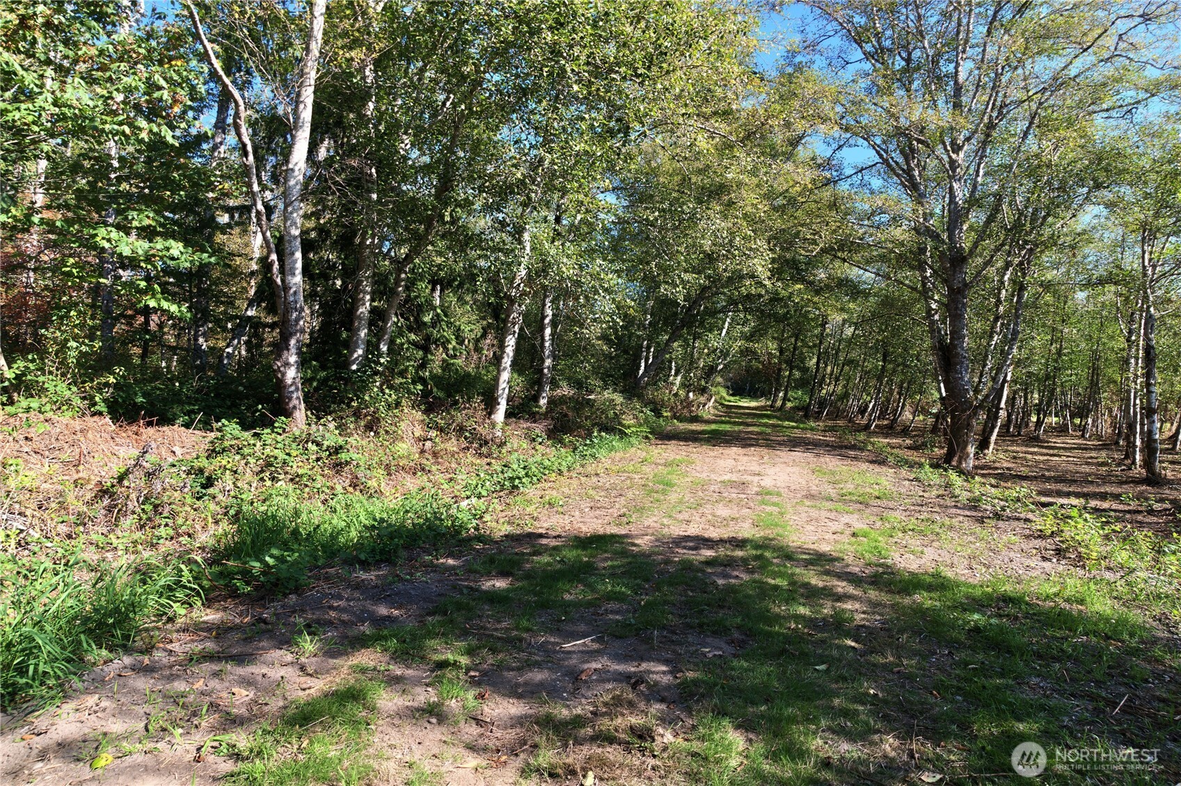 1877 Old Hwy 99 North Road Property Photo 34