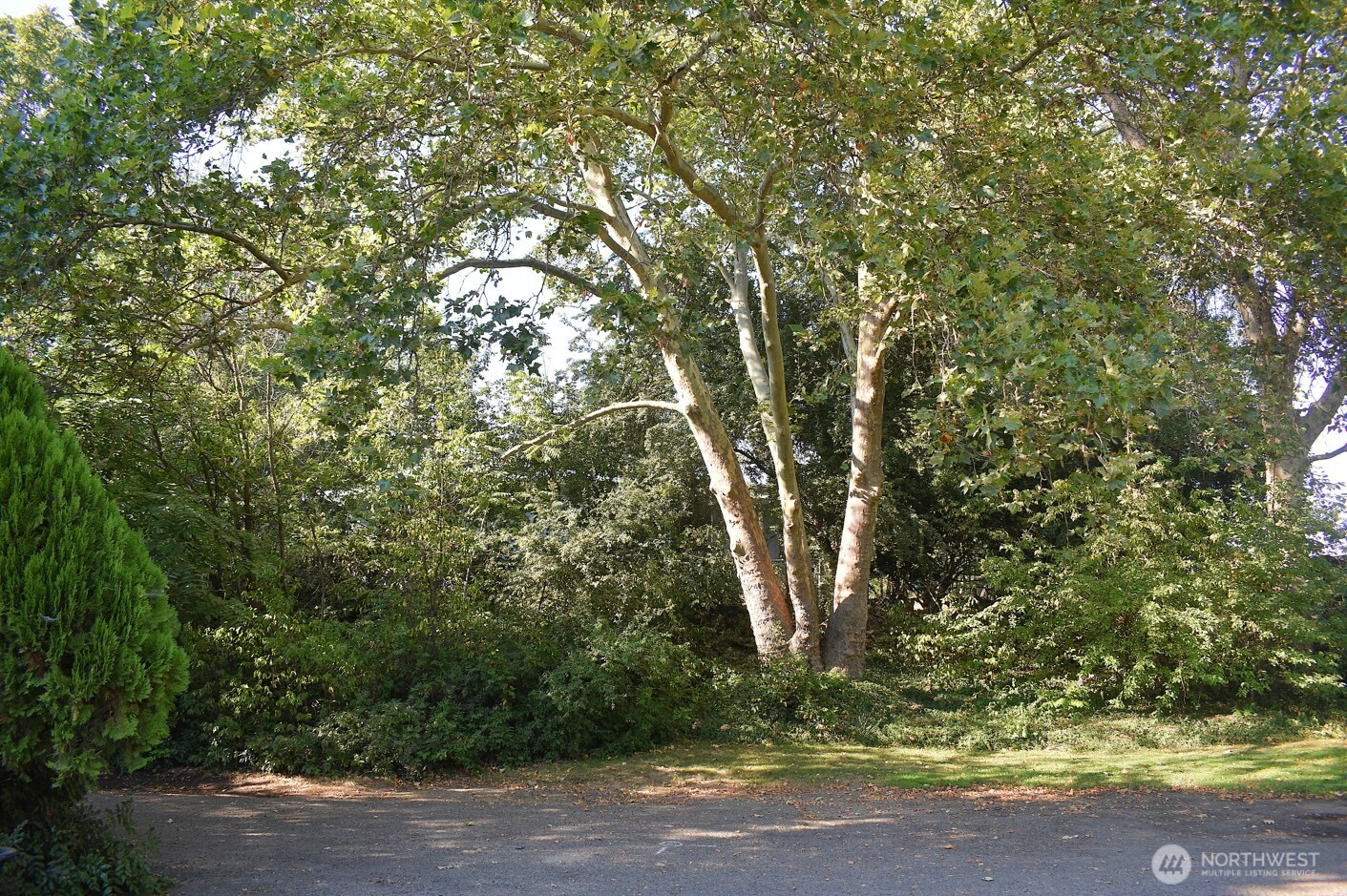 121 Chateau Lane Property Photo 11