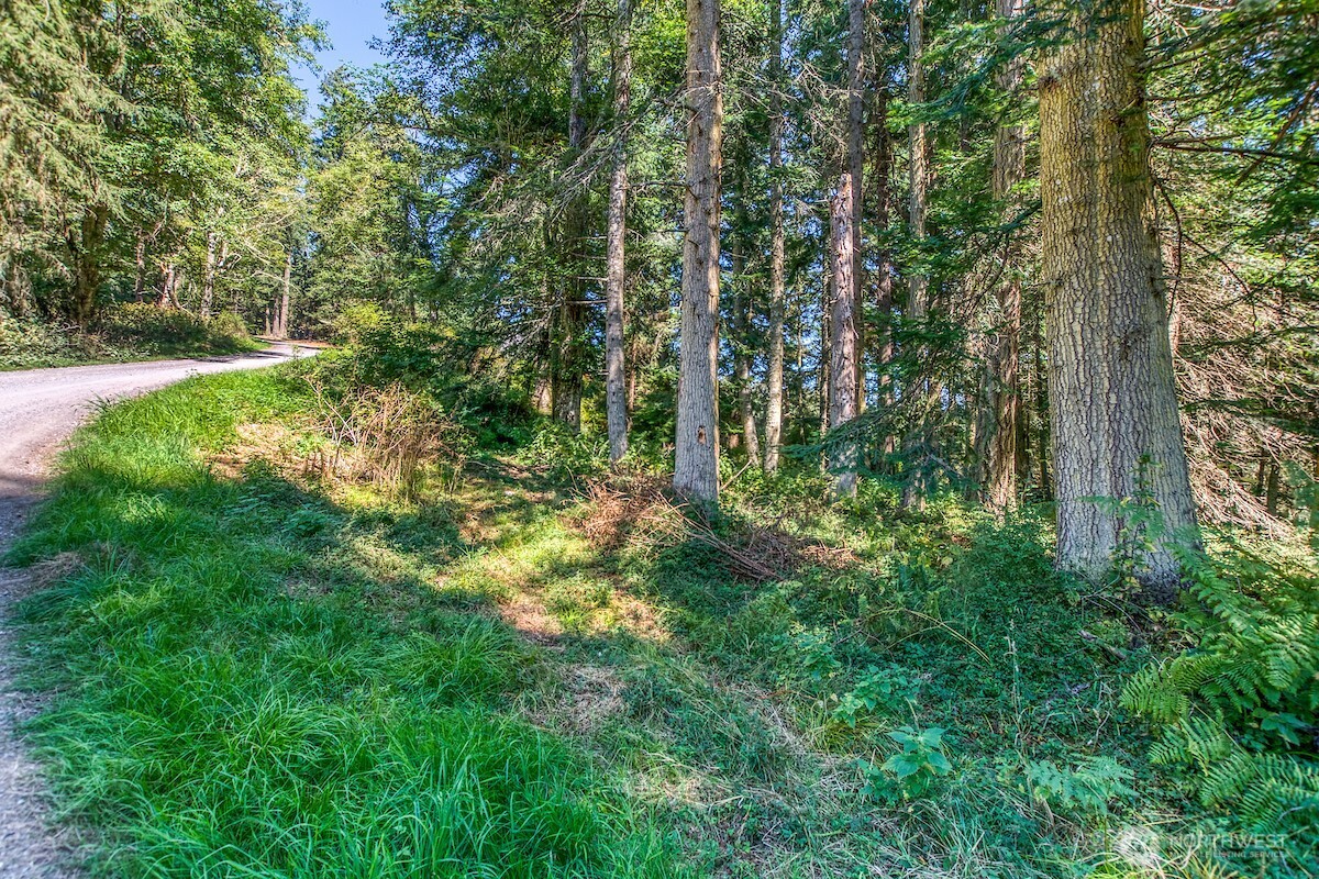 0 Pioneer Hill Road Property Photo 6