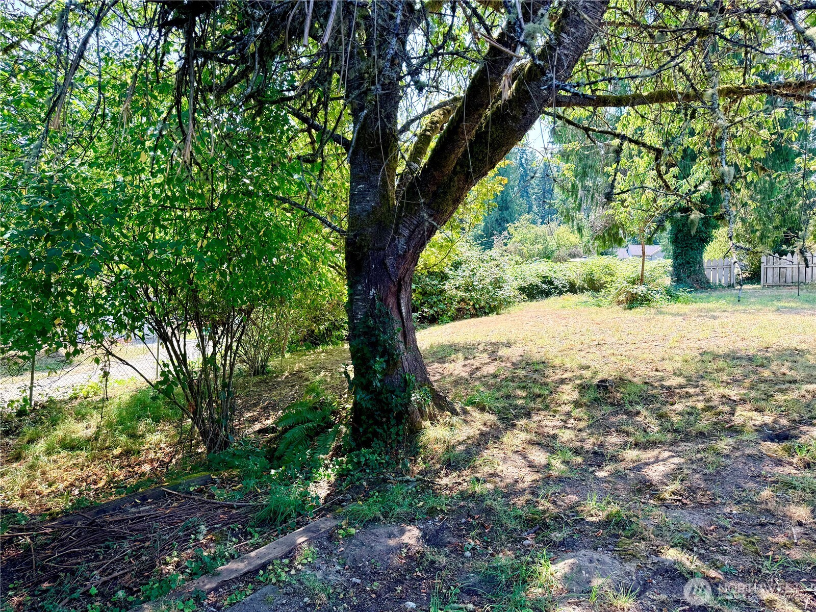 1919 Guy Wetzel Road Property Photo 8