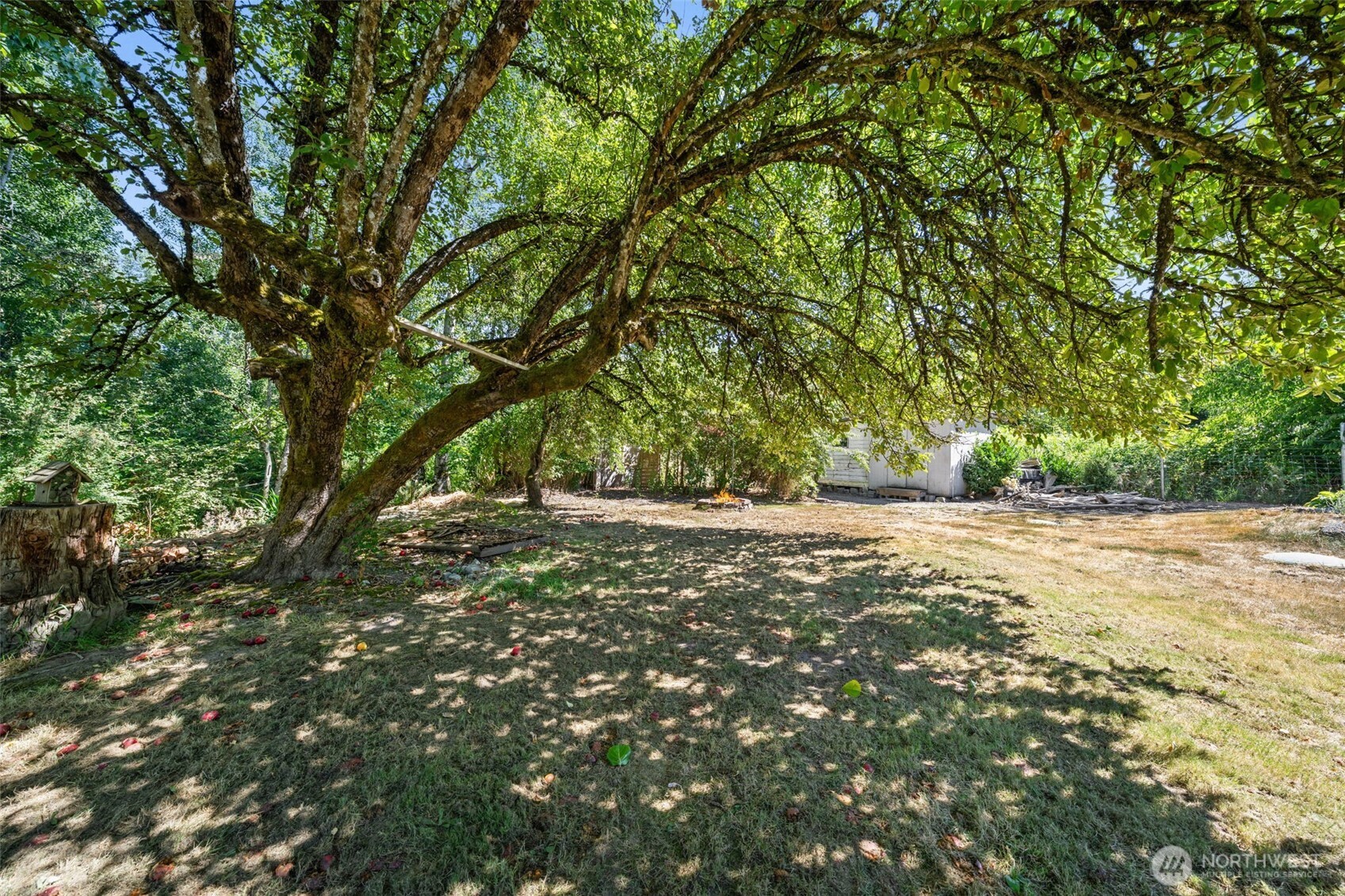 11607 Golden Given Road Property Photo 18