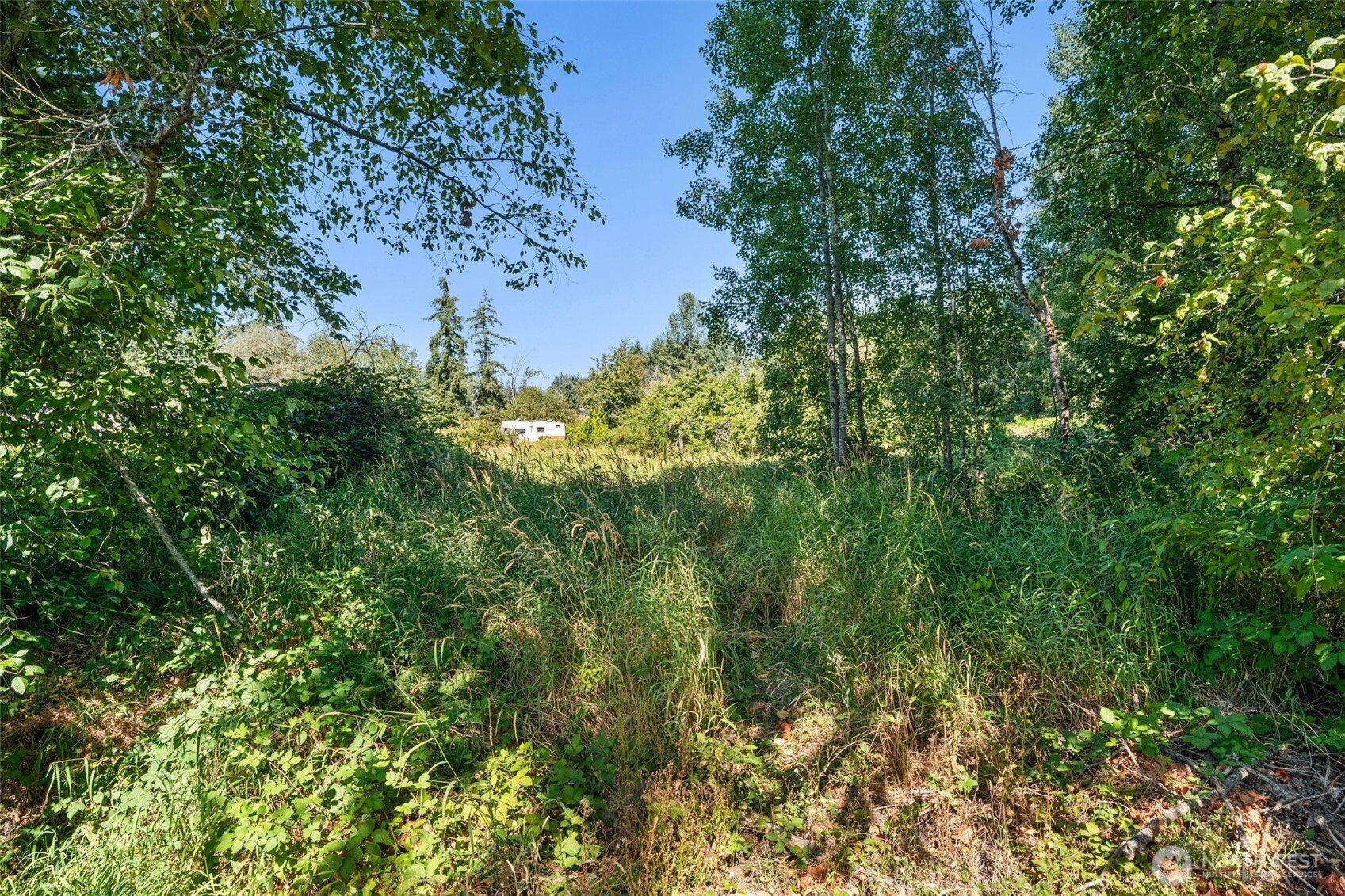 11607 Golden Given Road Property Photo 22
