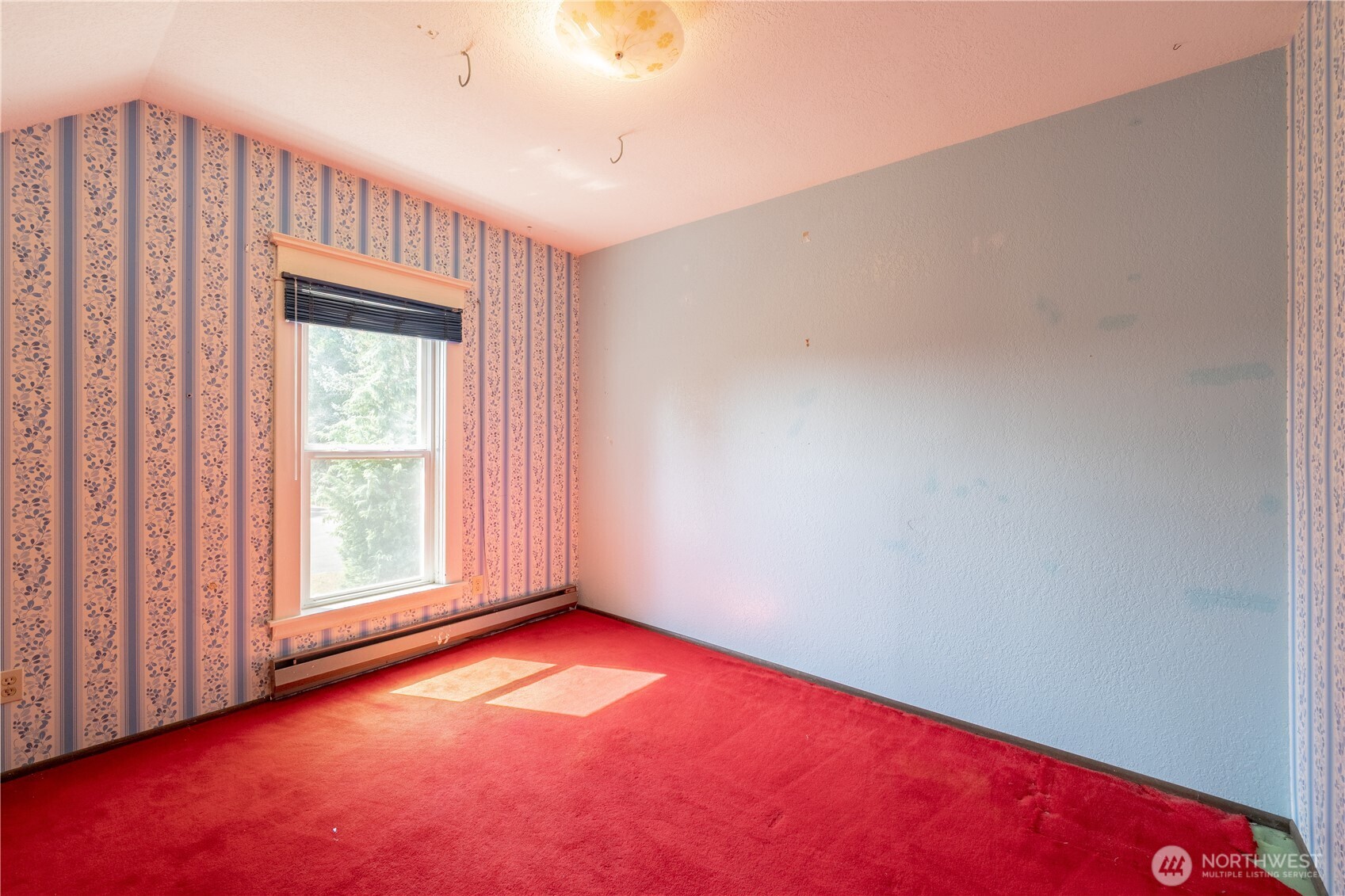 10121 67th Avenue Property Photo 31