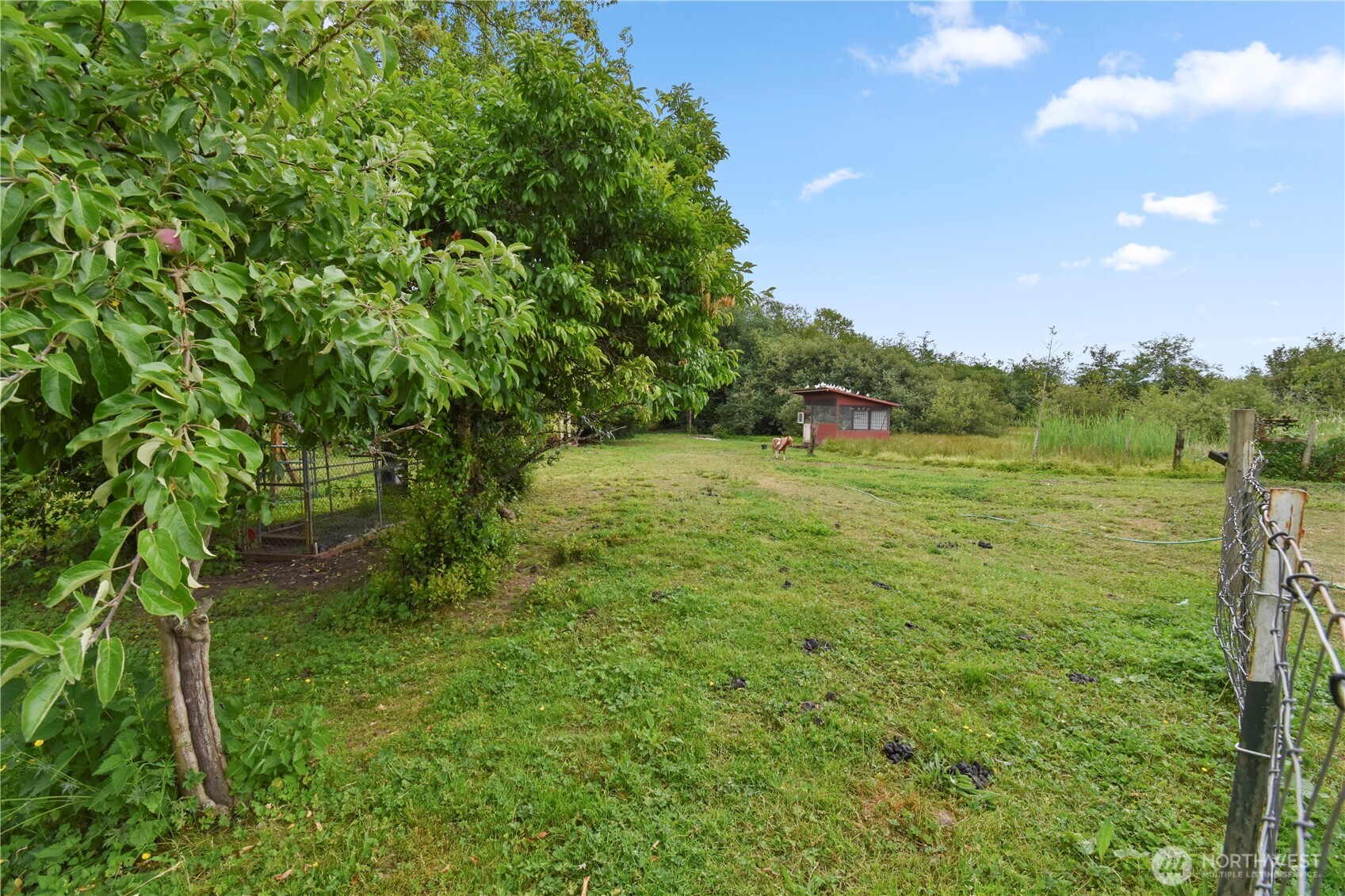 18268 Colony Road Property Photo 34