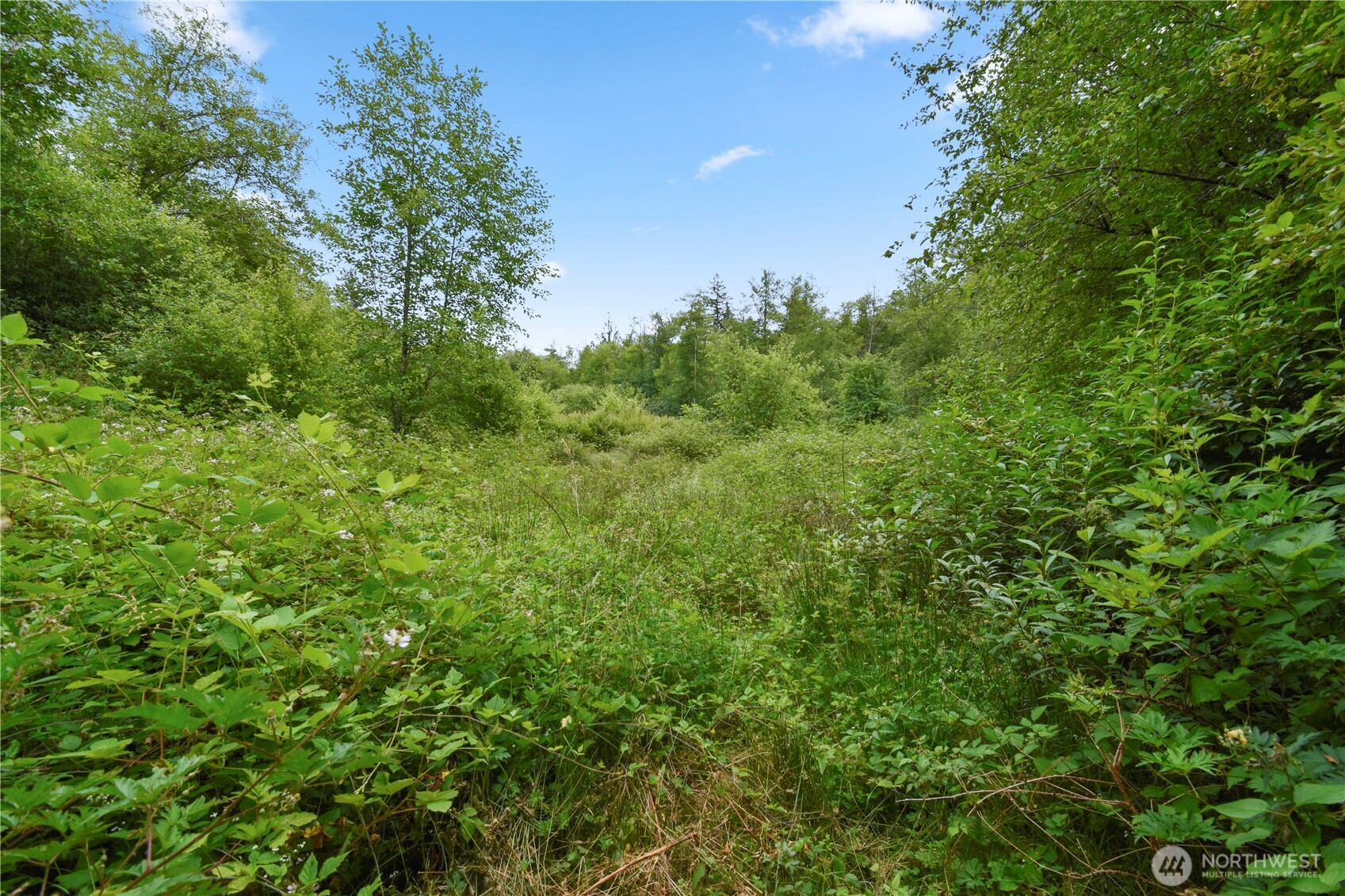 18268 Colony Road Property Photo 38