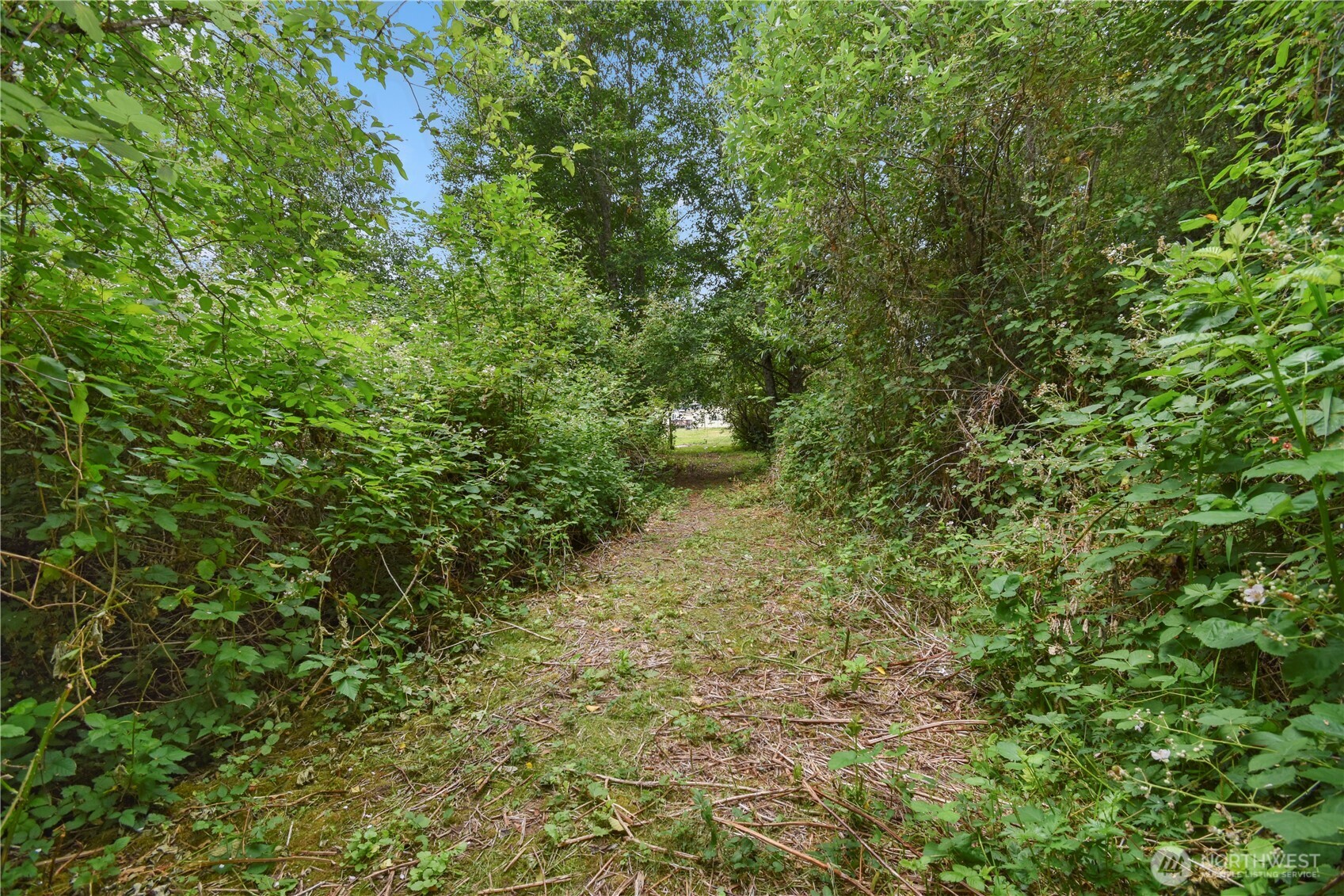 18268 Colony Road Property Photo 39