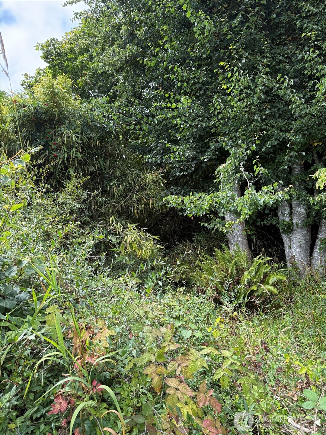266 Xx Sandridge Road Property Photo 2