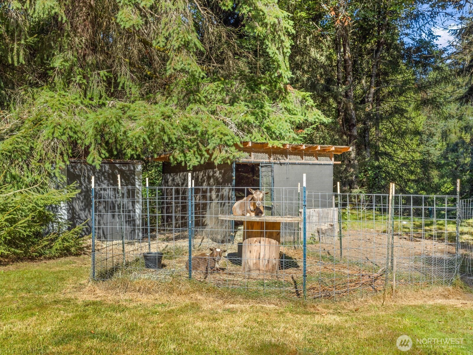 15213 14th Street Property Photo 33