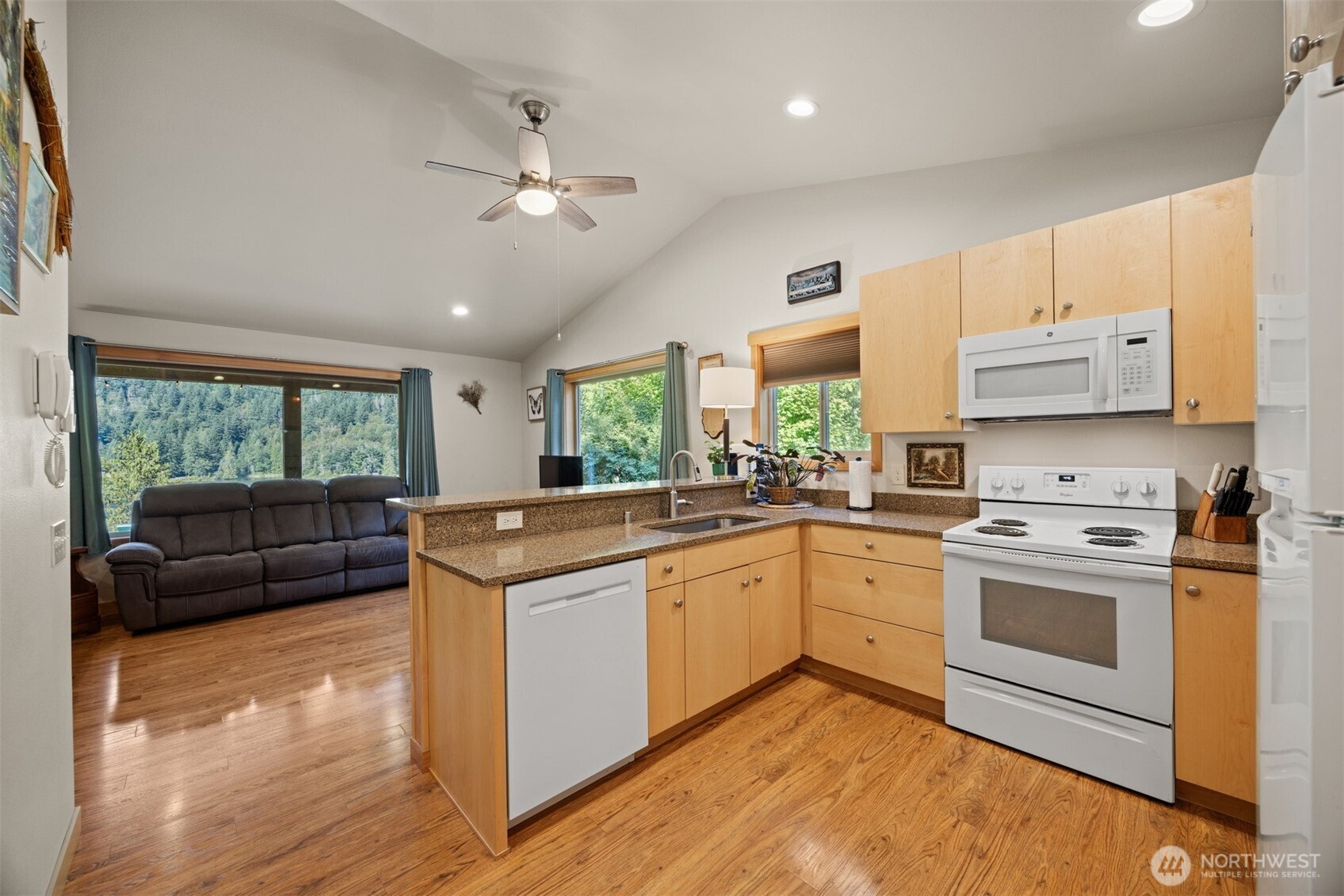 9273 Black Mountain Lane Property Photo 15