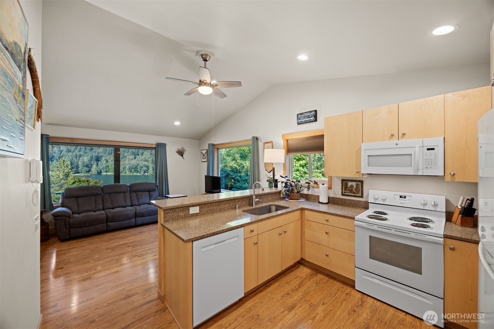 9273 Black Mountain Lane Property Photo 16
