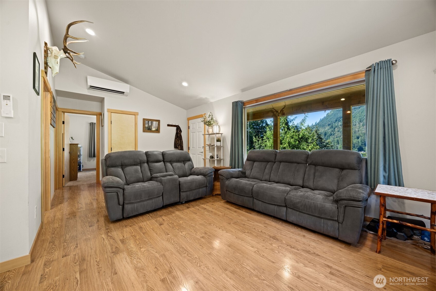 9273 Black Mountain Lane Property Photo 19