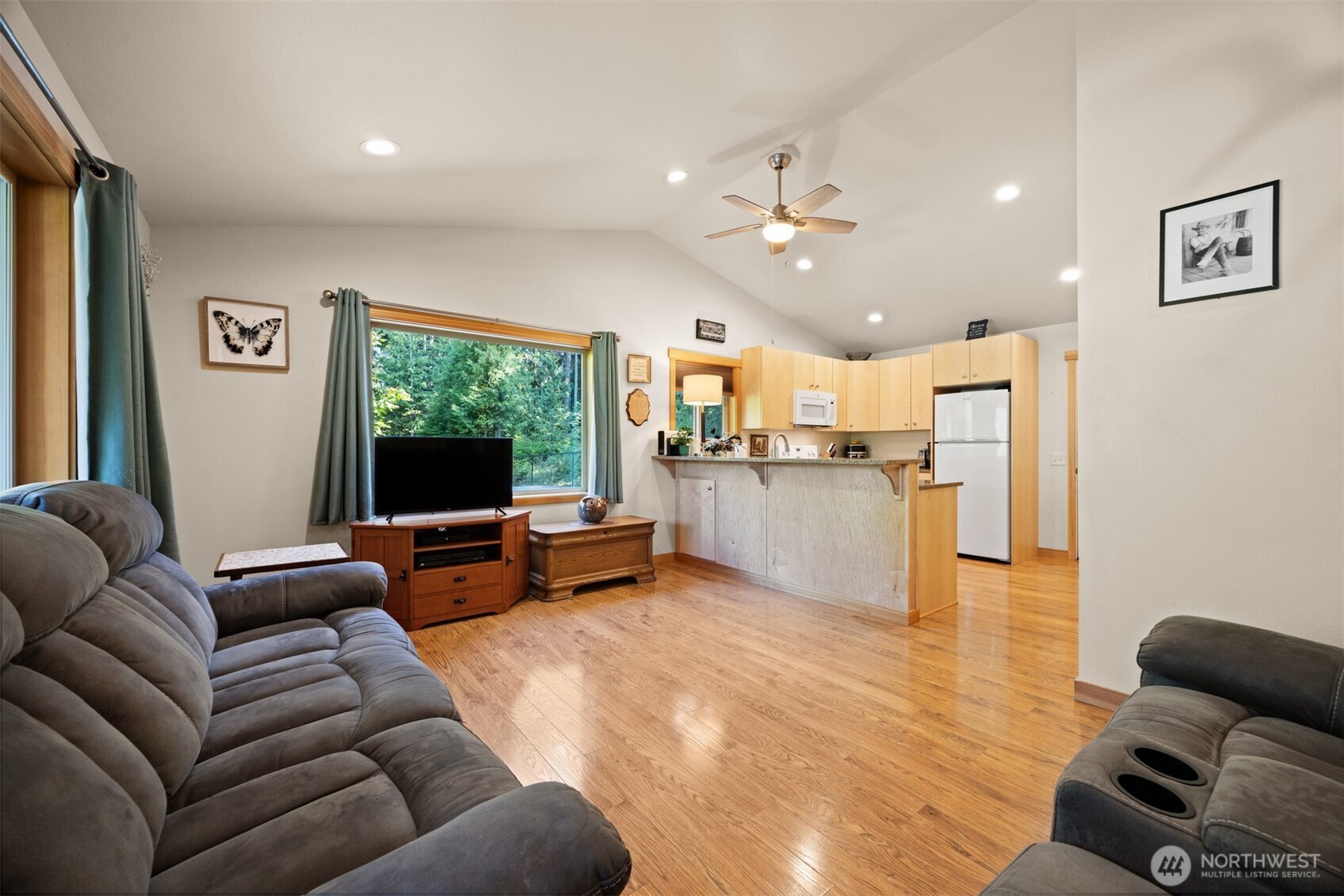 9273 Black Mountain Lane Property Photo 21