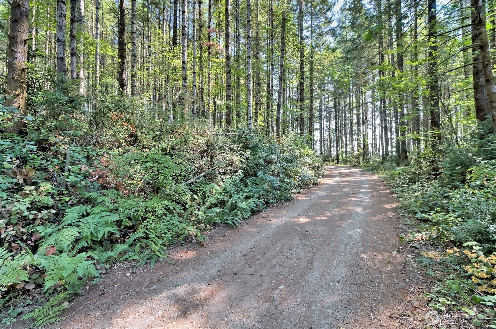 0 Tahuya Valley Drive Property Photo 3