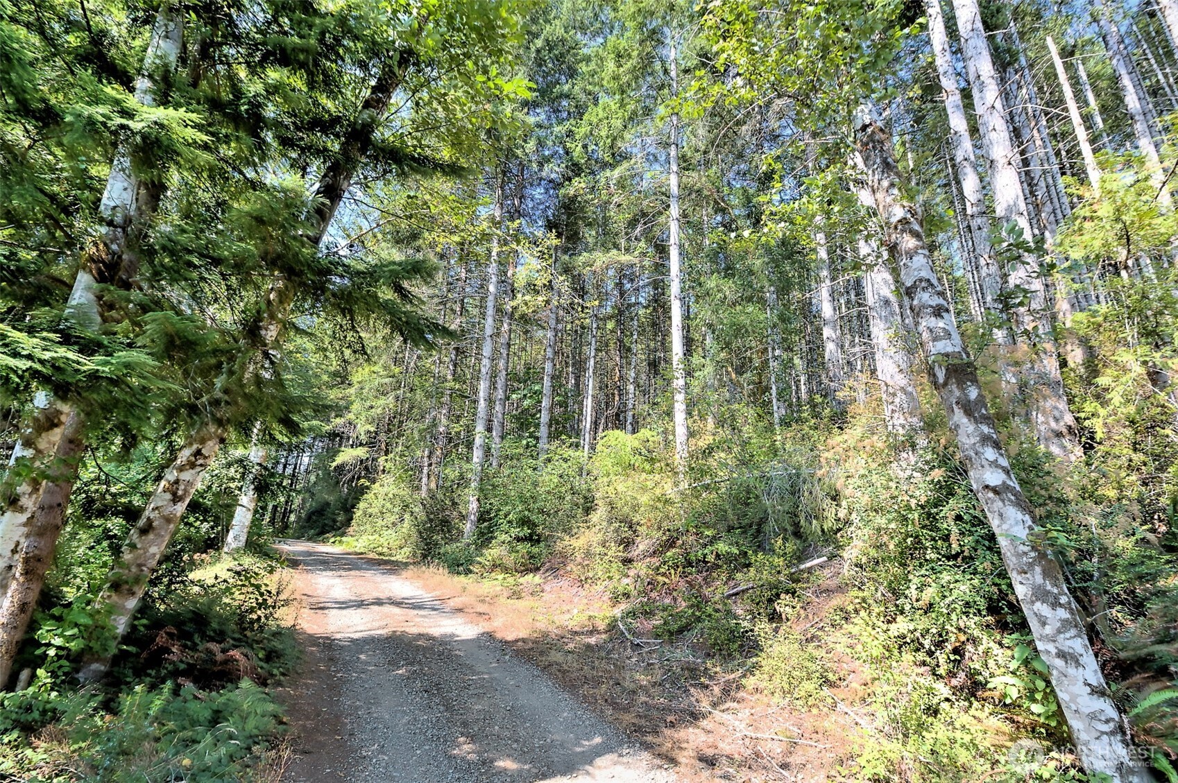 0 Tahuya Valley Drive Property Photo 5