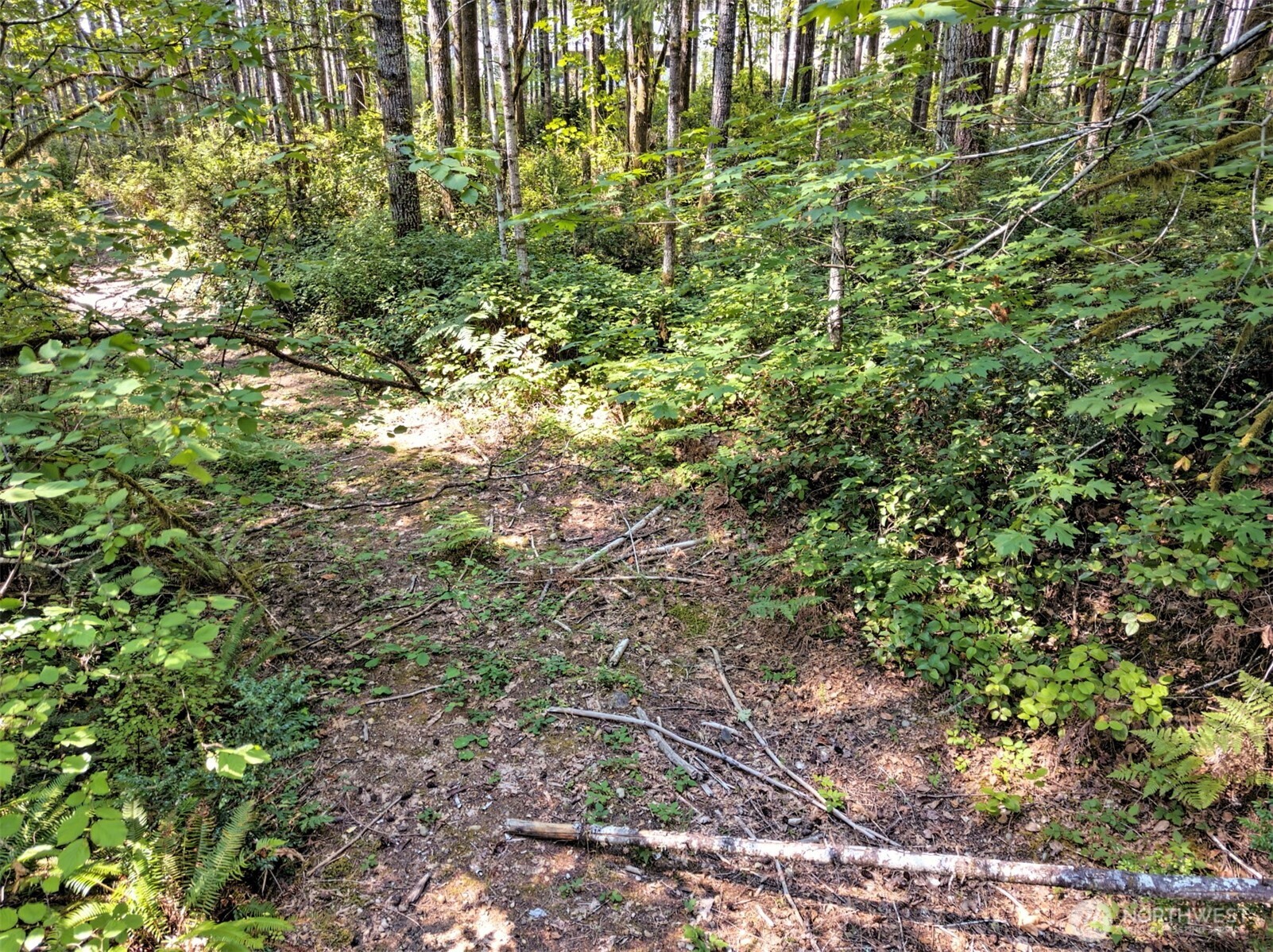 0 Tahuya Valley Drive Property Photo 7