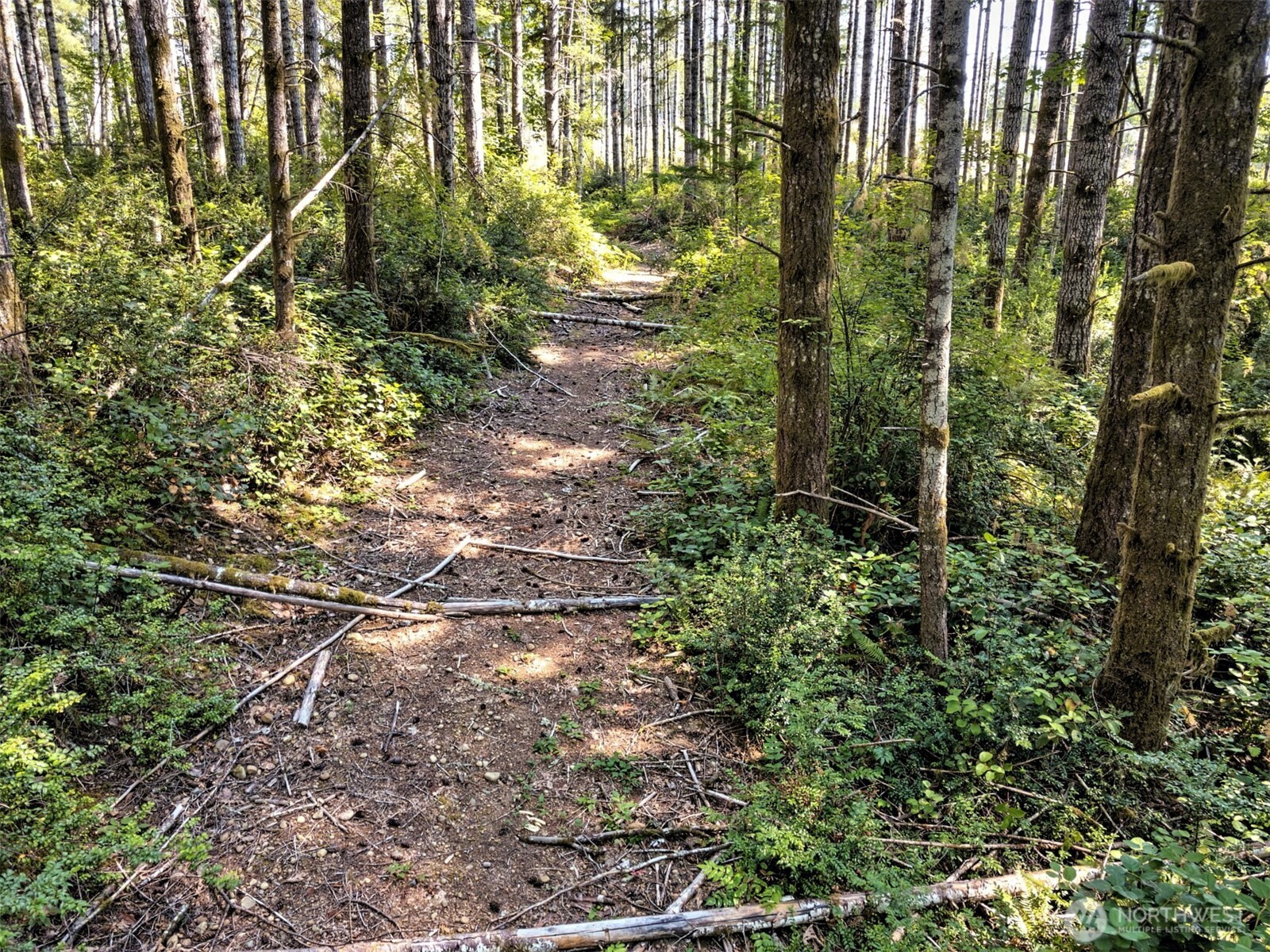 0 Tahuya Valley Drive Property Photo 8