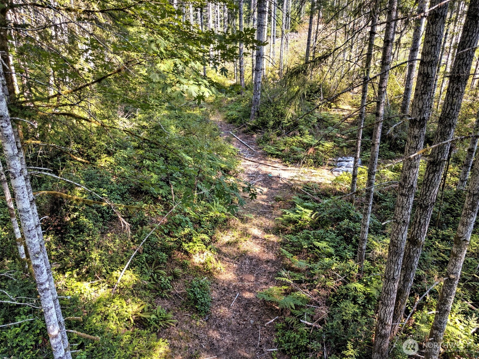 0 Tahuya Valley Drive Property Photo 9