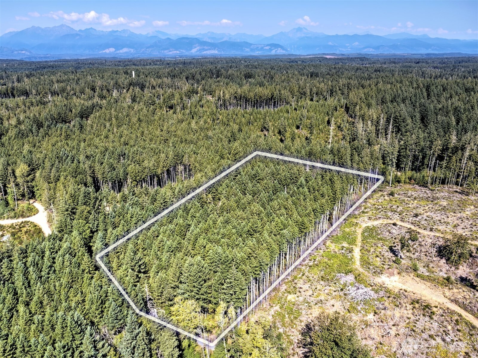 0 Tahuya Valley Drive Property Photo 12