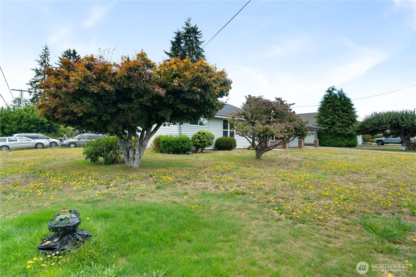 1206 E Park Avenue Property Photo 27