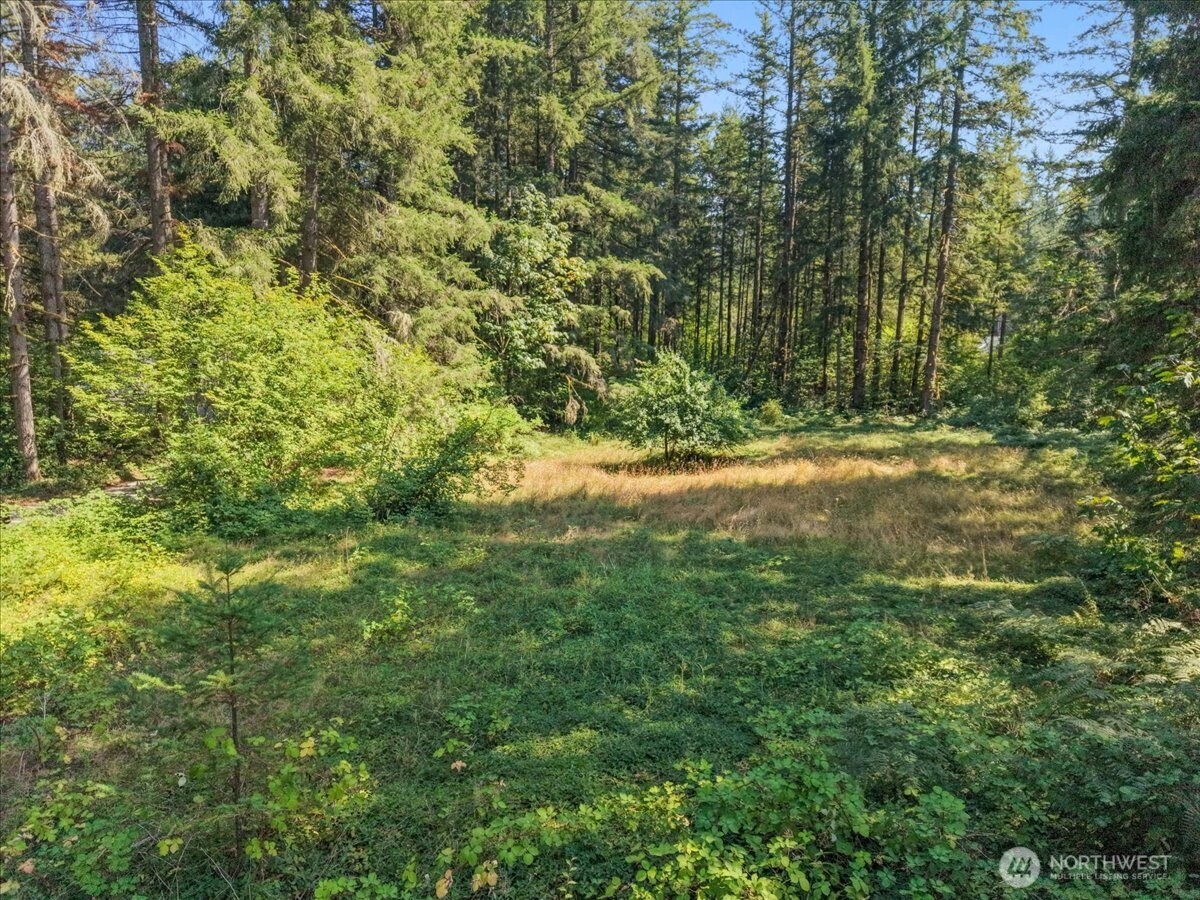 32011 Se 268th Street Property Photo 35