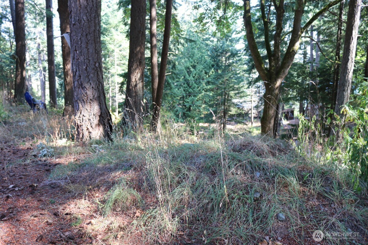 0 Island Drive Property Photo 3