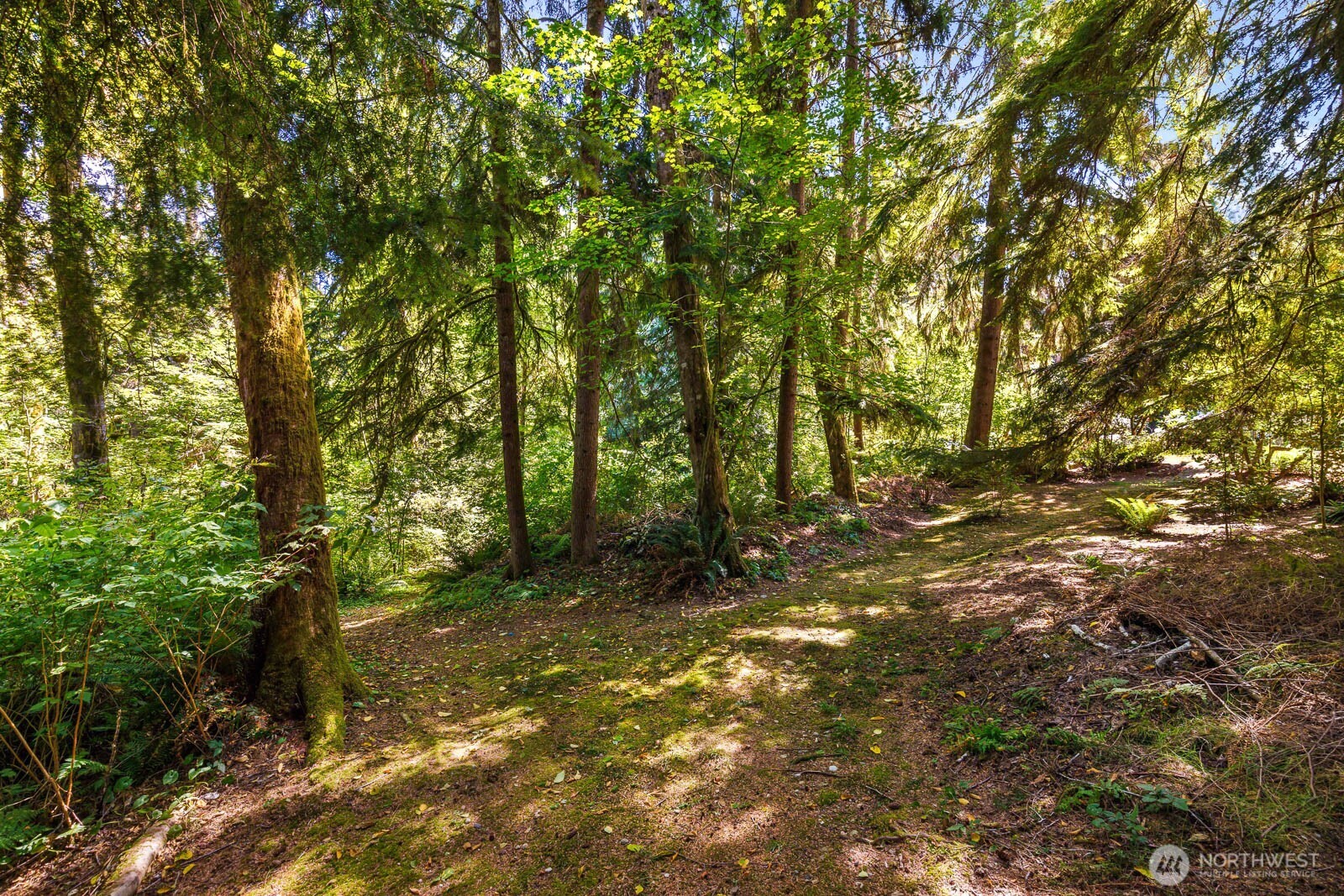 2717 Newberg Road Property Photo 36