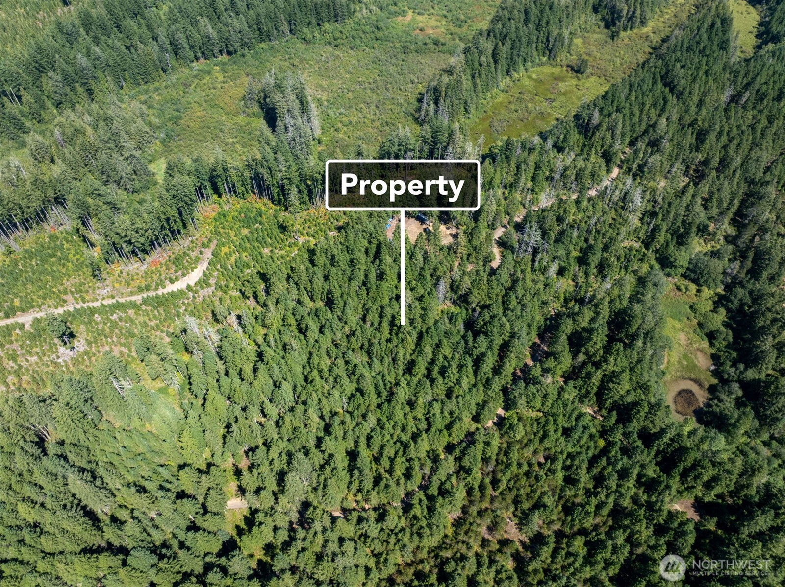 2461 W Hanks Lake Road Property Photo 16