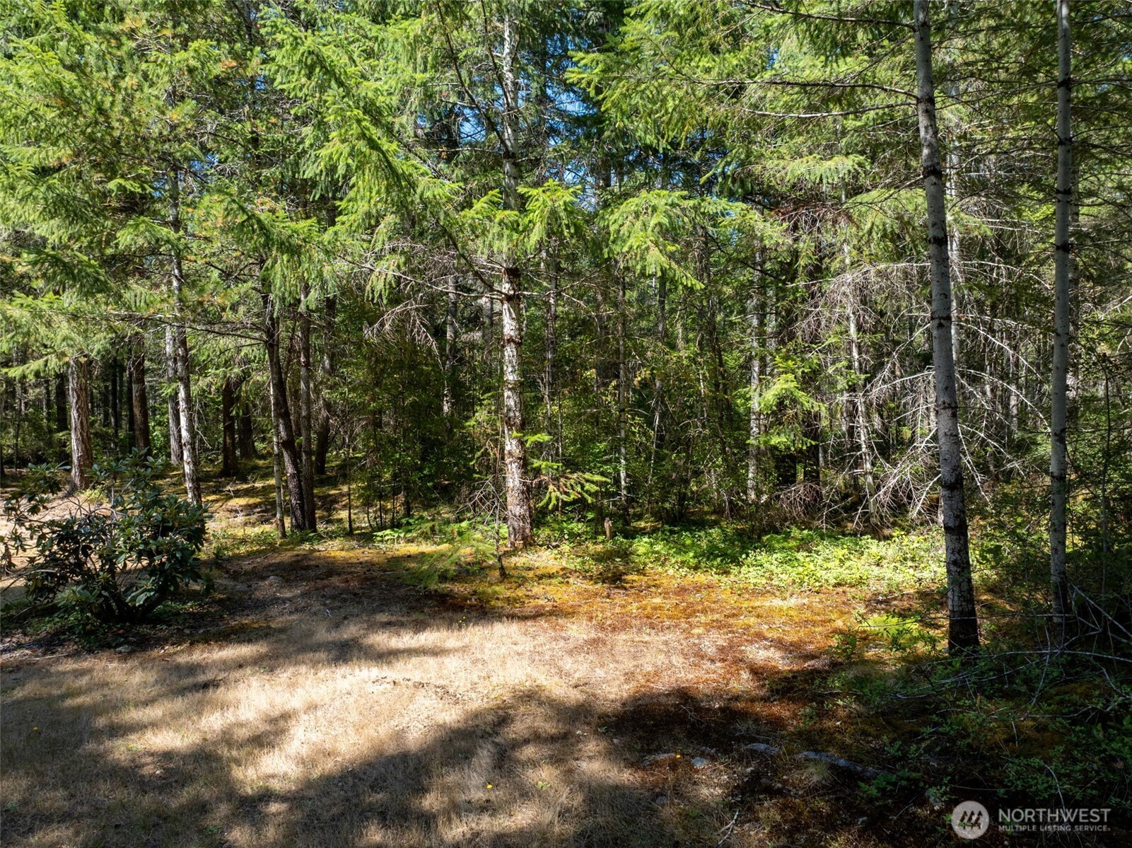 2461 W Hanks Lake Road Property Photo 18