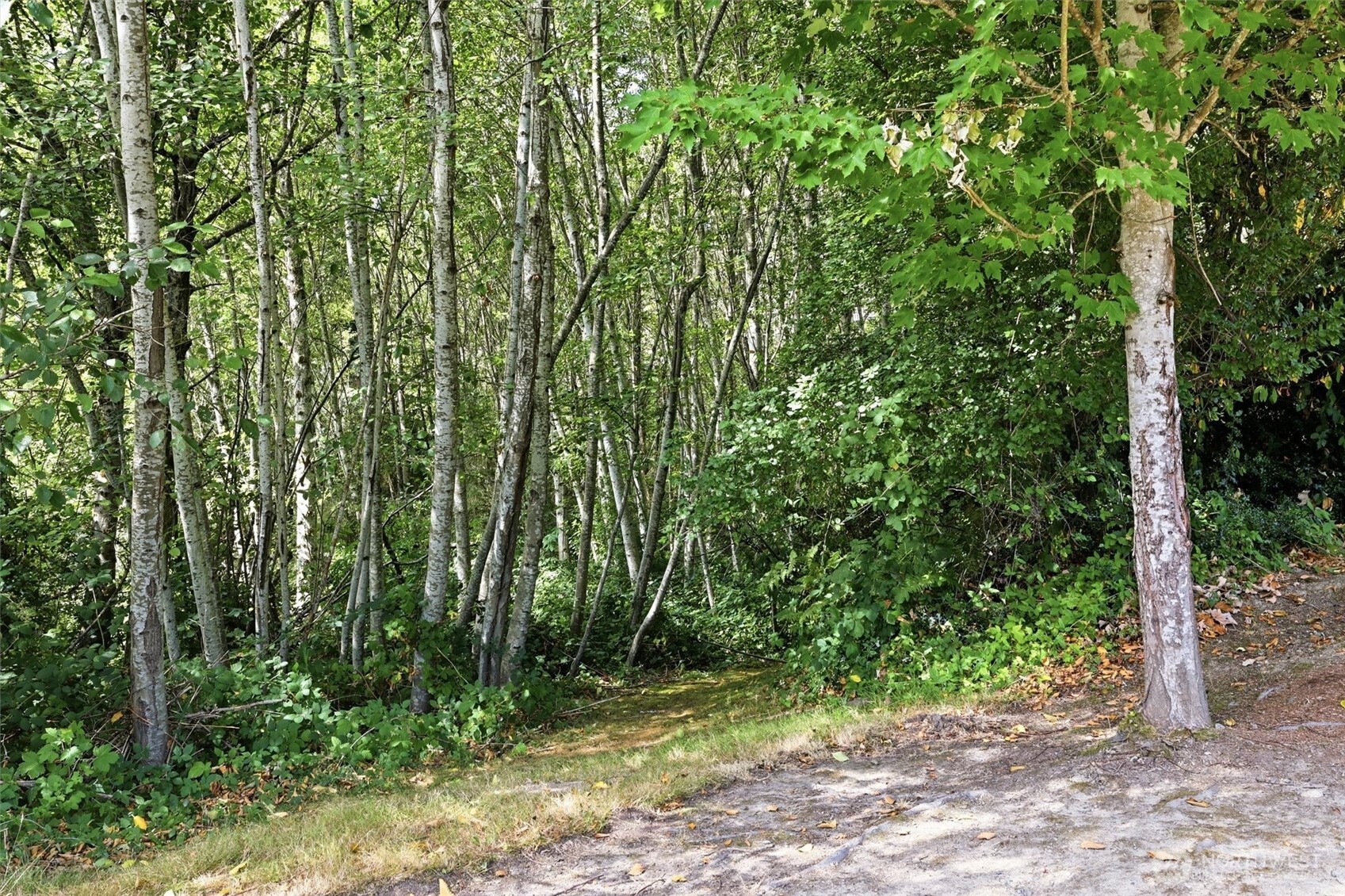 14813 99th Place Property Photo 40