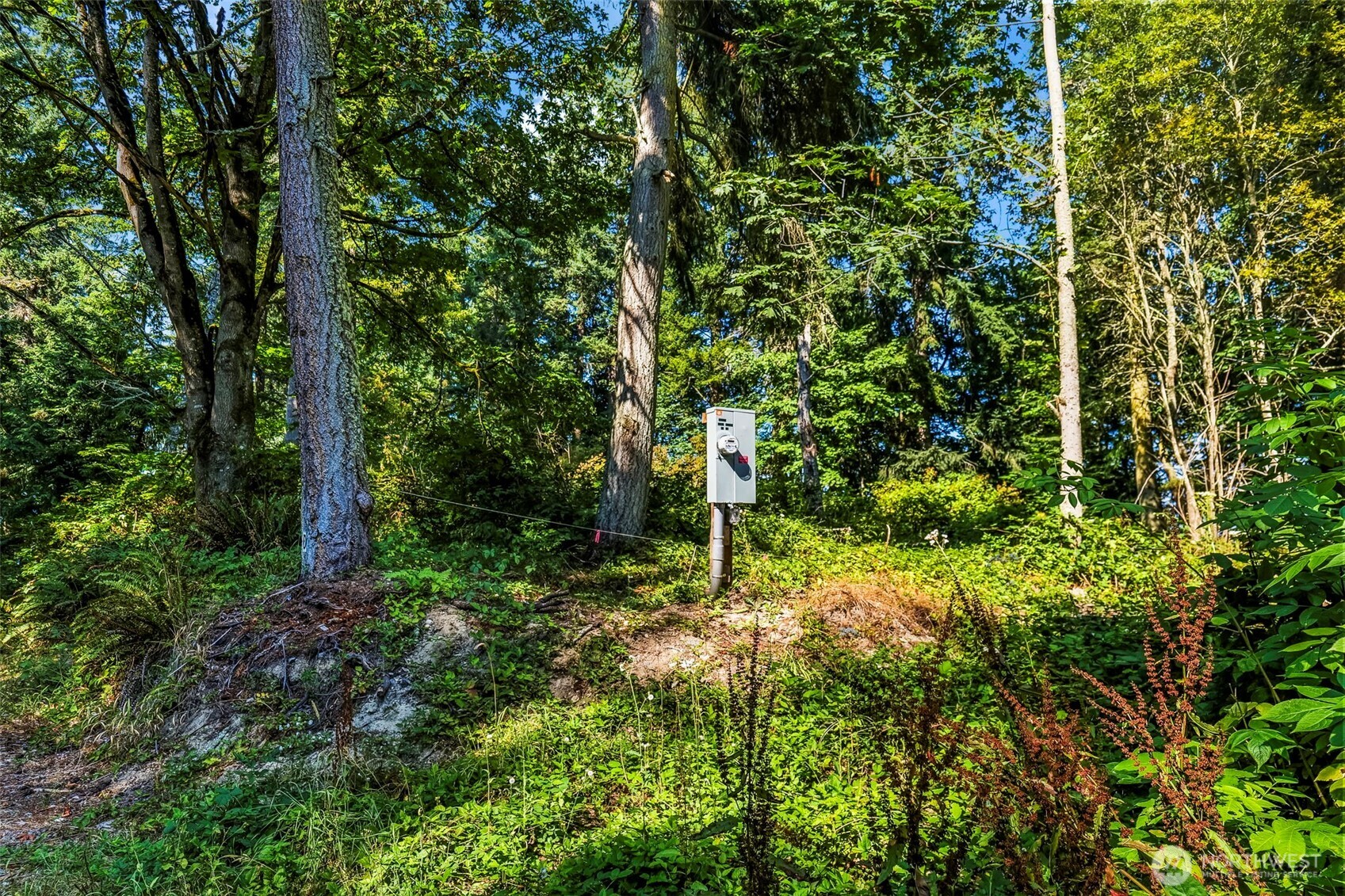 37218 Loki Bluff Drive Property Photo 6