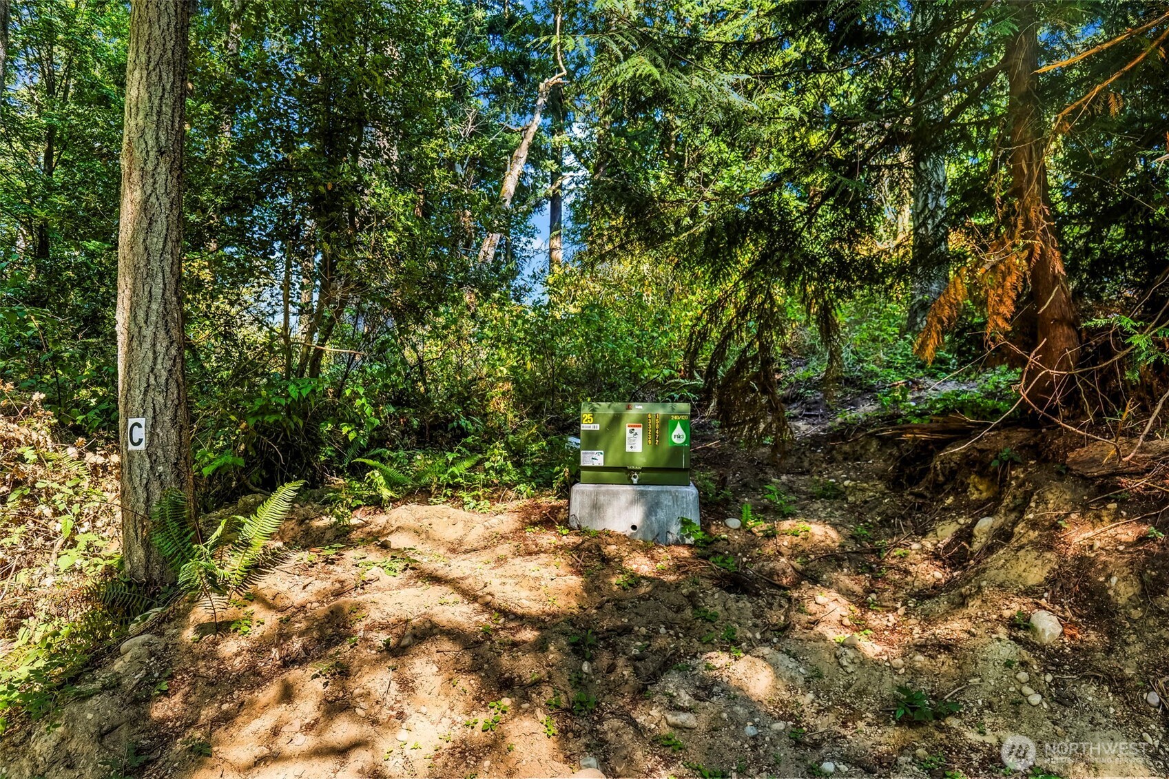 37218 Loki Bluff Drive Property Photo 7