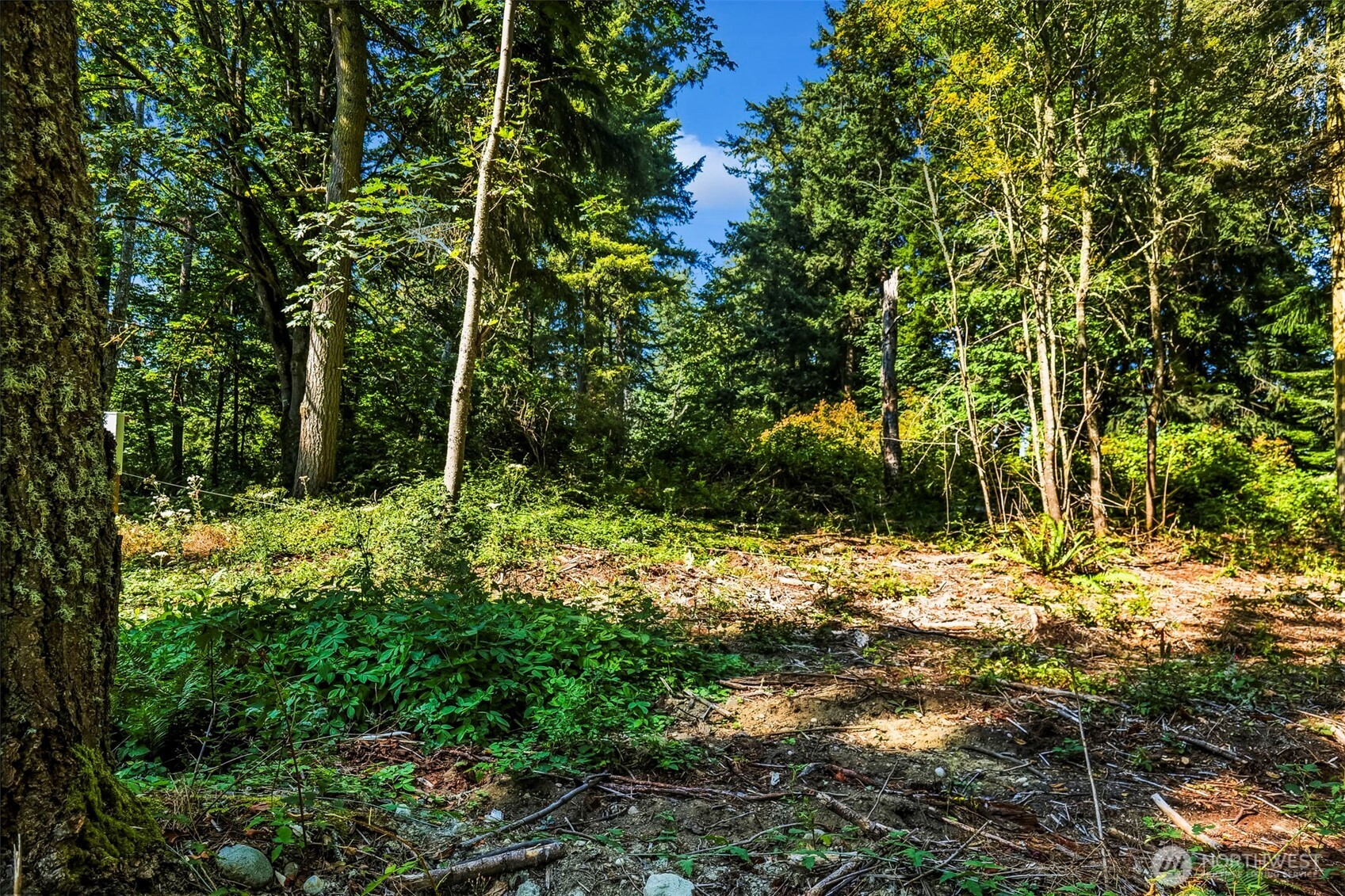 37218 Loki Bluff Drive Property Photo 10