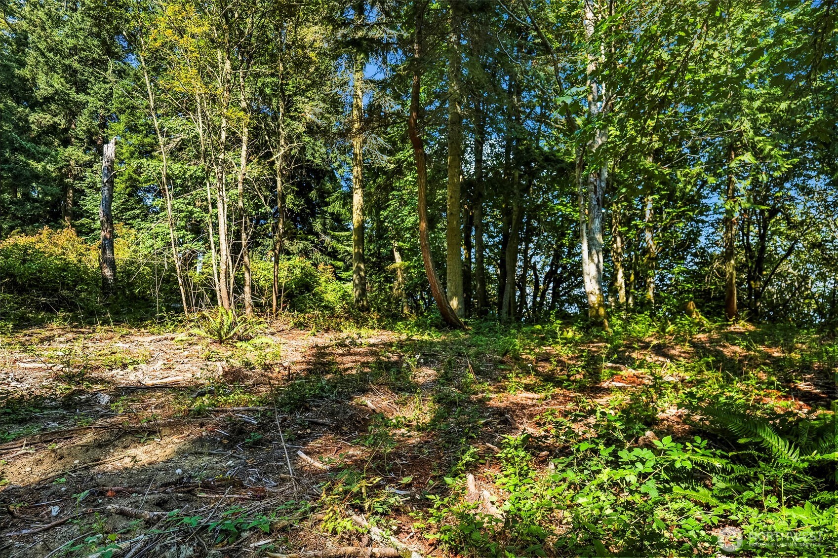 37218 Loki Bluff Drive Property Photo 11