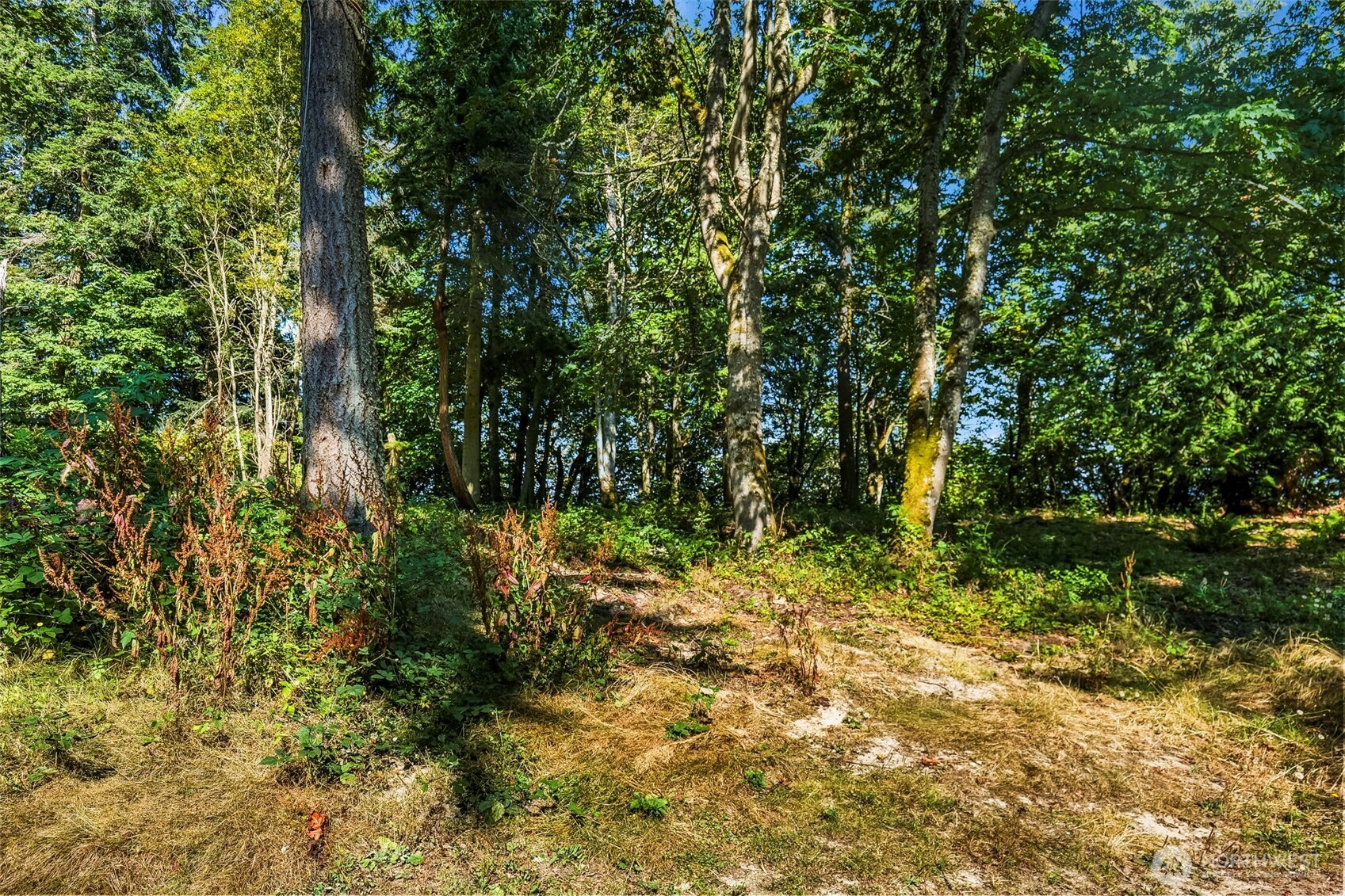 37218 Loki Bluff Drive Property Photo 12