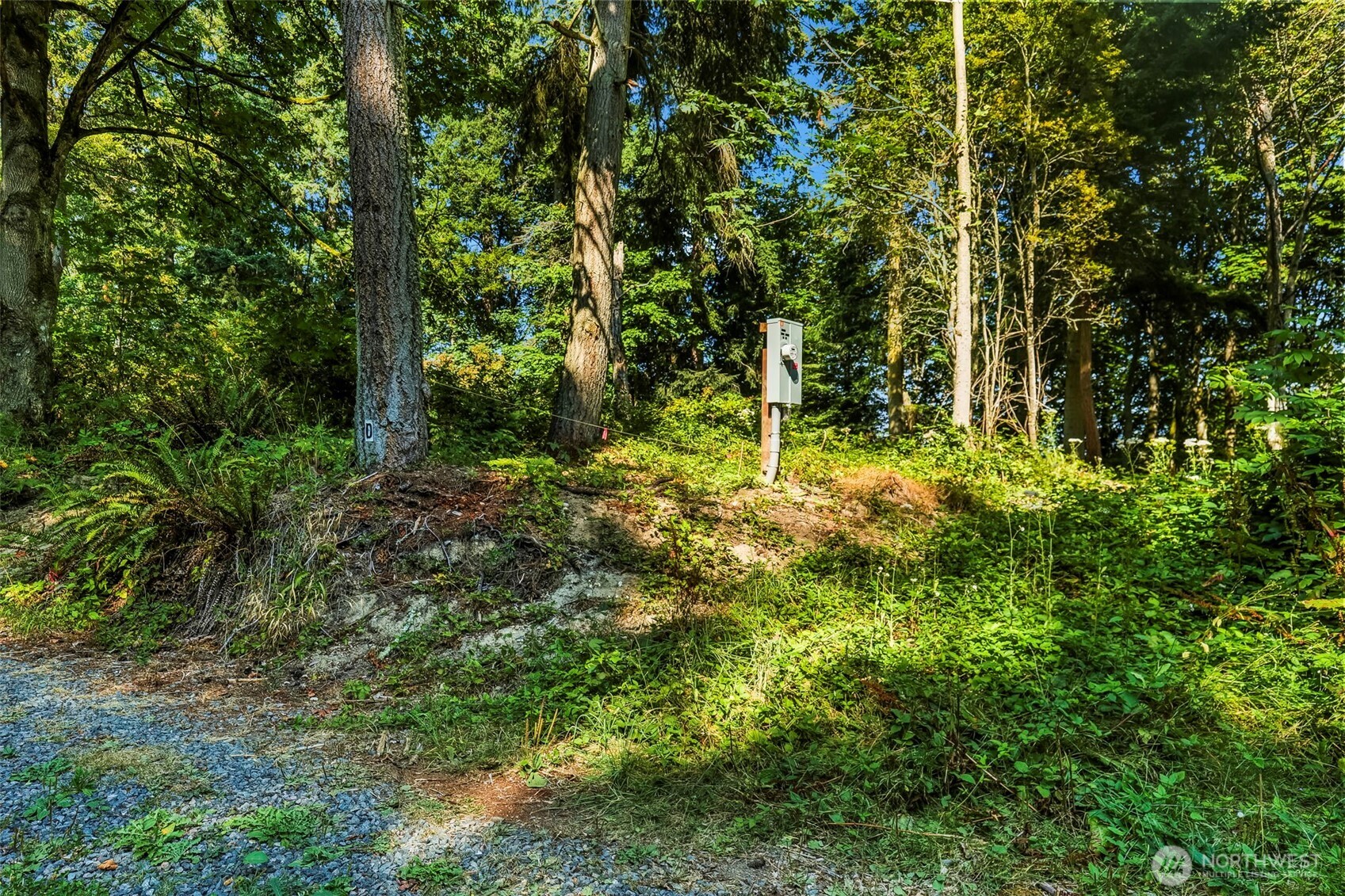 37218 Loki Bluff Drive Property Photo 14