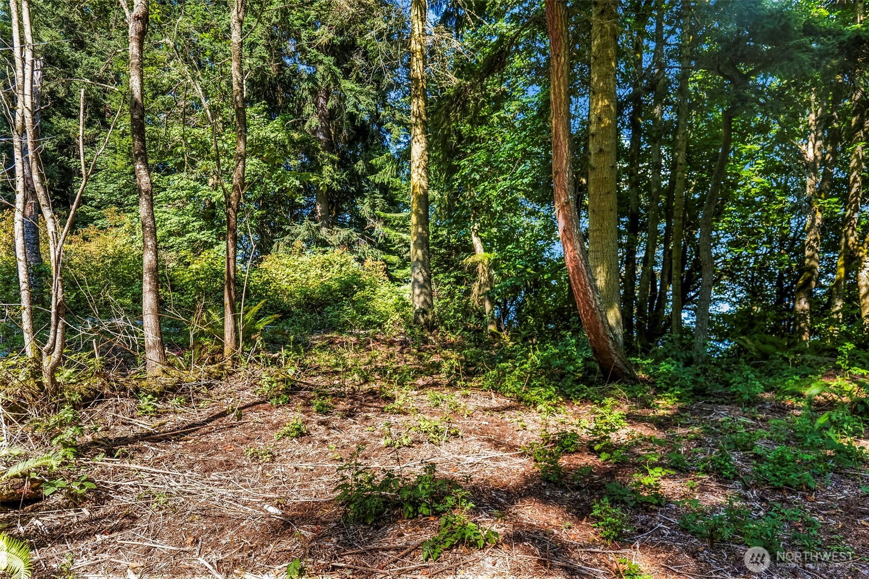 37218 Loki Bluff Drive Property Photo 17