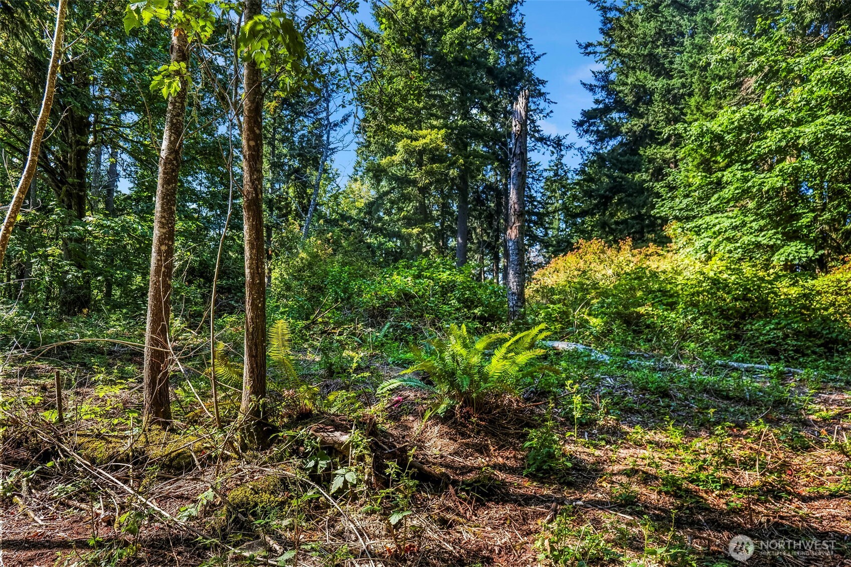 37218 Loki Bluff Drive Property Photo 18