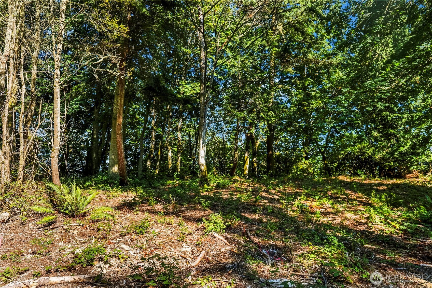 37218 Loki Bluff Drive Property Photo 19
