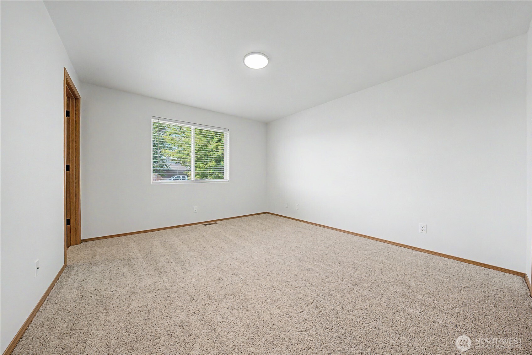 513 Monarch Street Property Photo 24